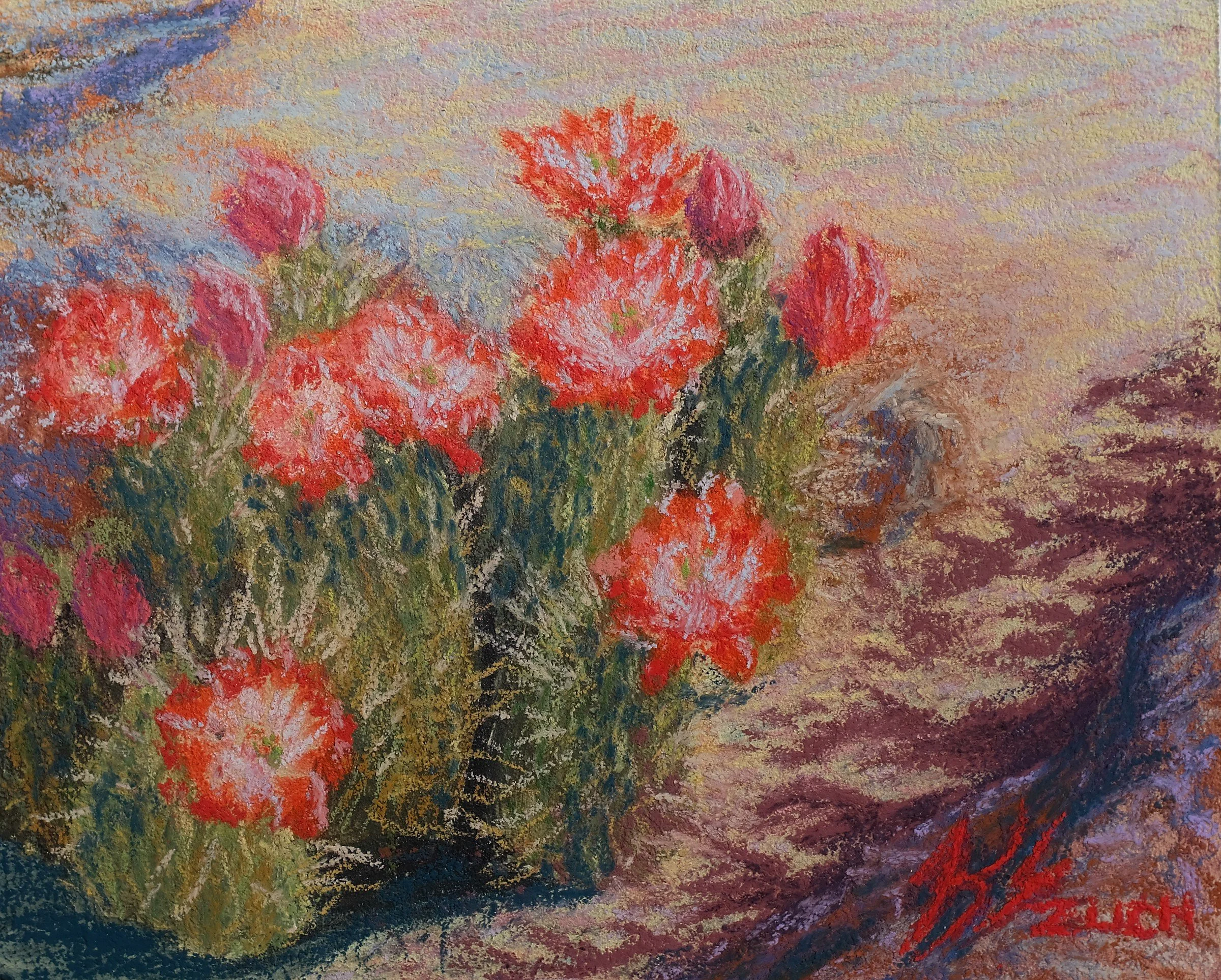 Cacti Bunch