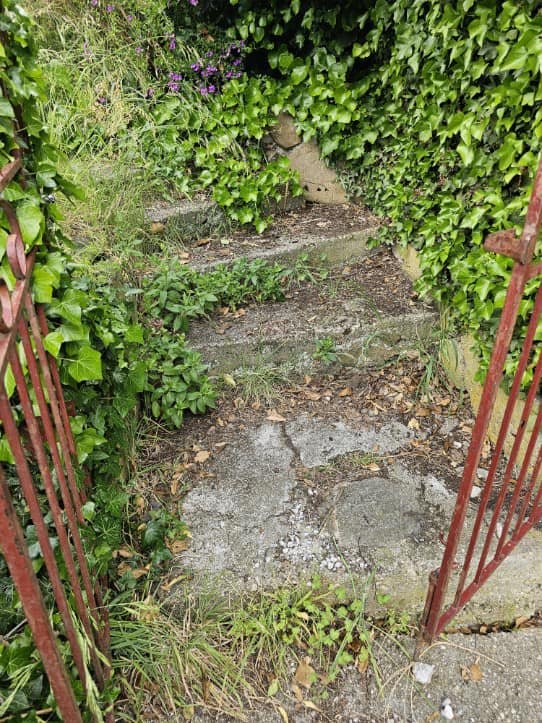 Finished a big tidy up for Jessie Bates - Harrison Agents Launceston today, this one came up great and will be on the market very soon, the views are amazing from this place too.

The neighbours told me they had not seen the back steps and porch in t