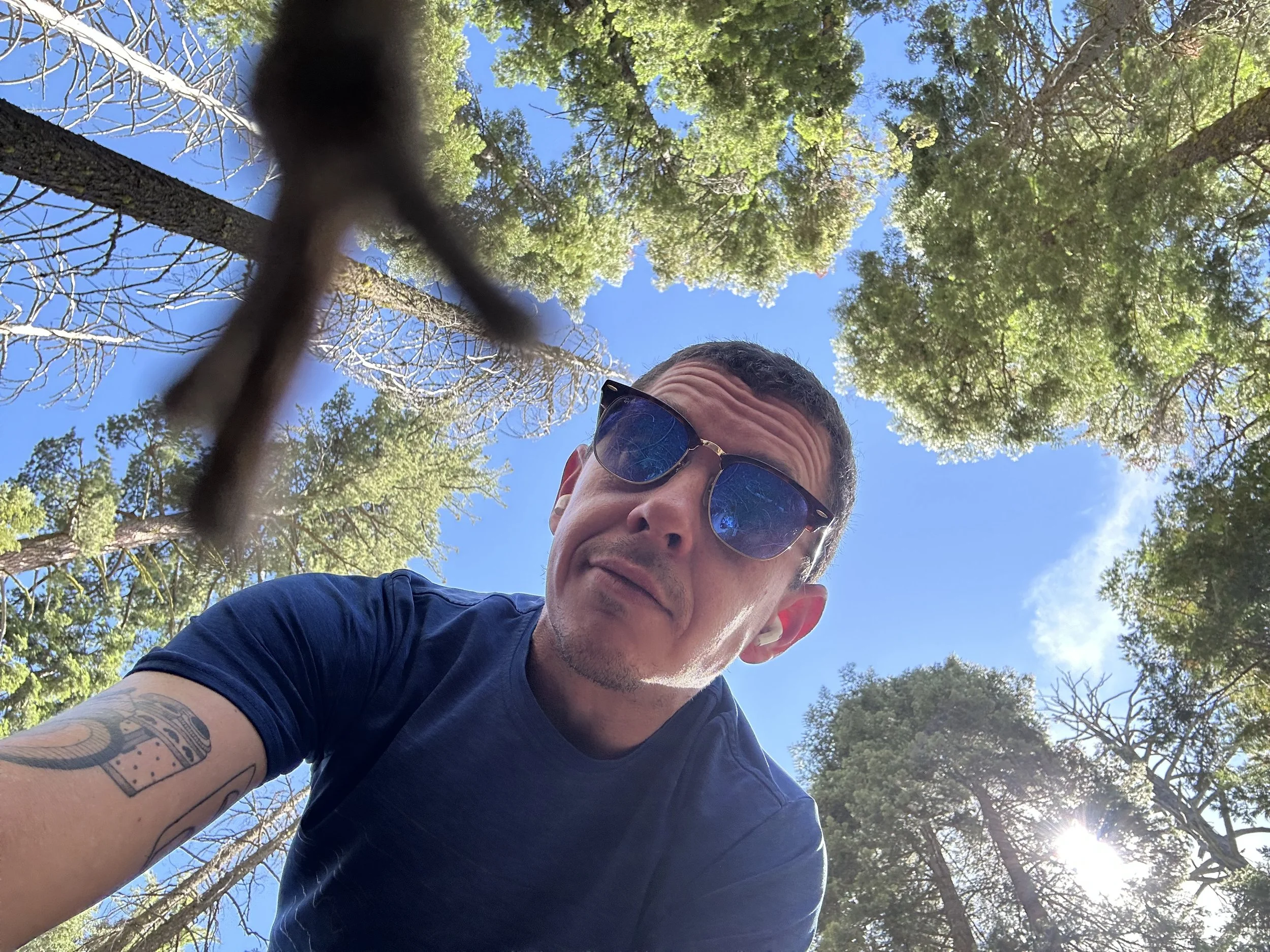 A man with short dark hair wearing sunglasses and a navy blue t-shirt is outdoors in a forested area, looking down at the camera which is positioned below him. The sky is bright blue with a few clouds, and the sunlight filters through the tall green trees surrounding him.