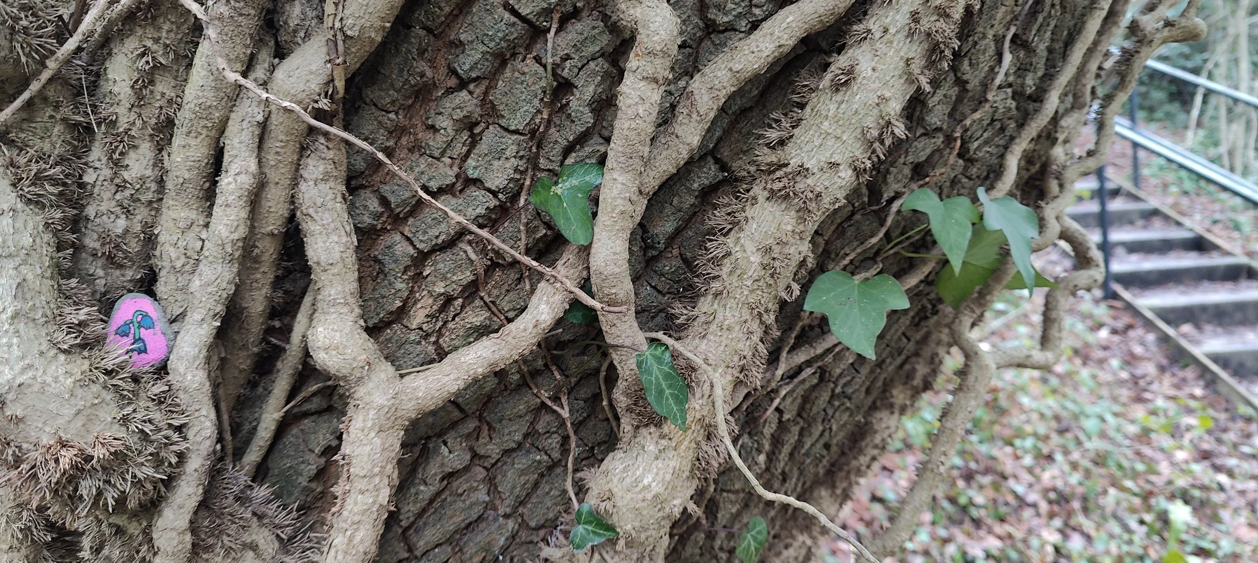 IMG20250208093819.jpg