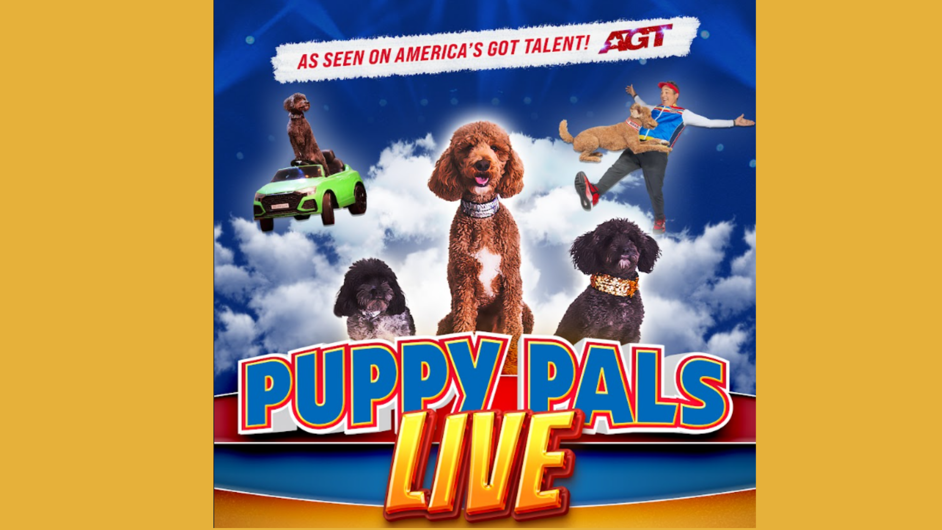 Puppy Pals Live - The Action-Packed Comedic Stunt Dog Show as seen on America’s Got Talent