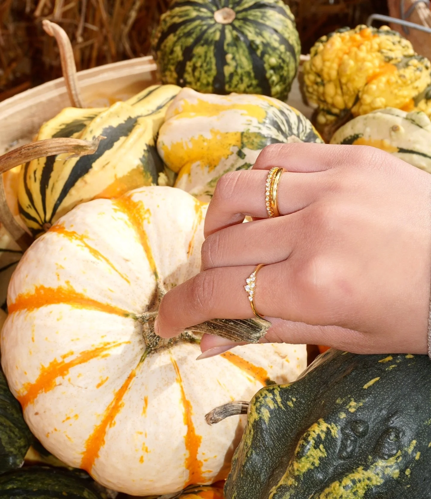 🎃
#jewelry #jewelrydesign #jewelrygram #jewelrylover #jewelryartist #bracelet #braceletstacks #earrings #jewelrytrends #goldjewelry #cleangirljewelry #silverjewelry #goldbracelet #cloverbracelet #necklace #heartnecklace #tarnishfreejewelry #waterpro