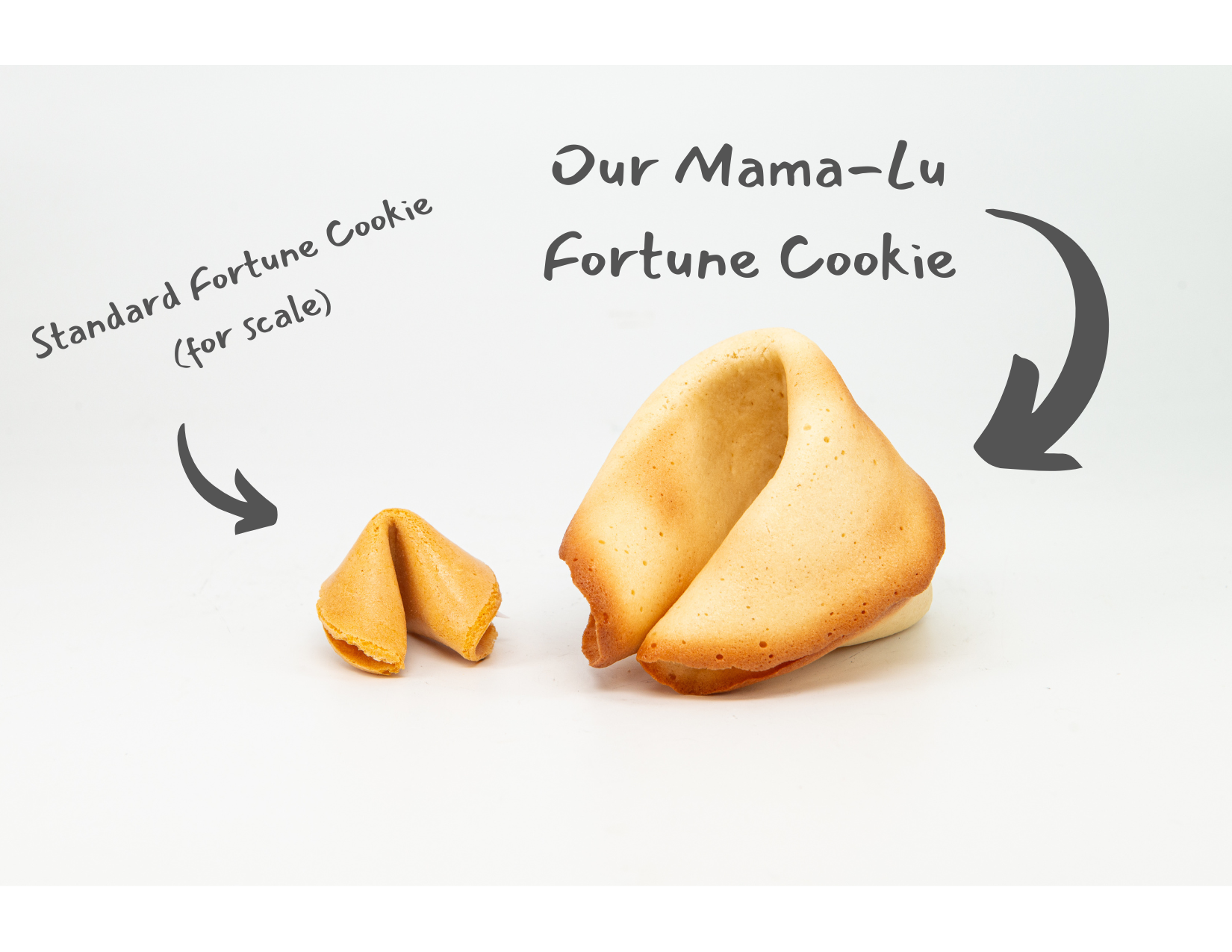 Standard Fortune Cookie (for scale).png