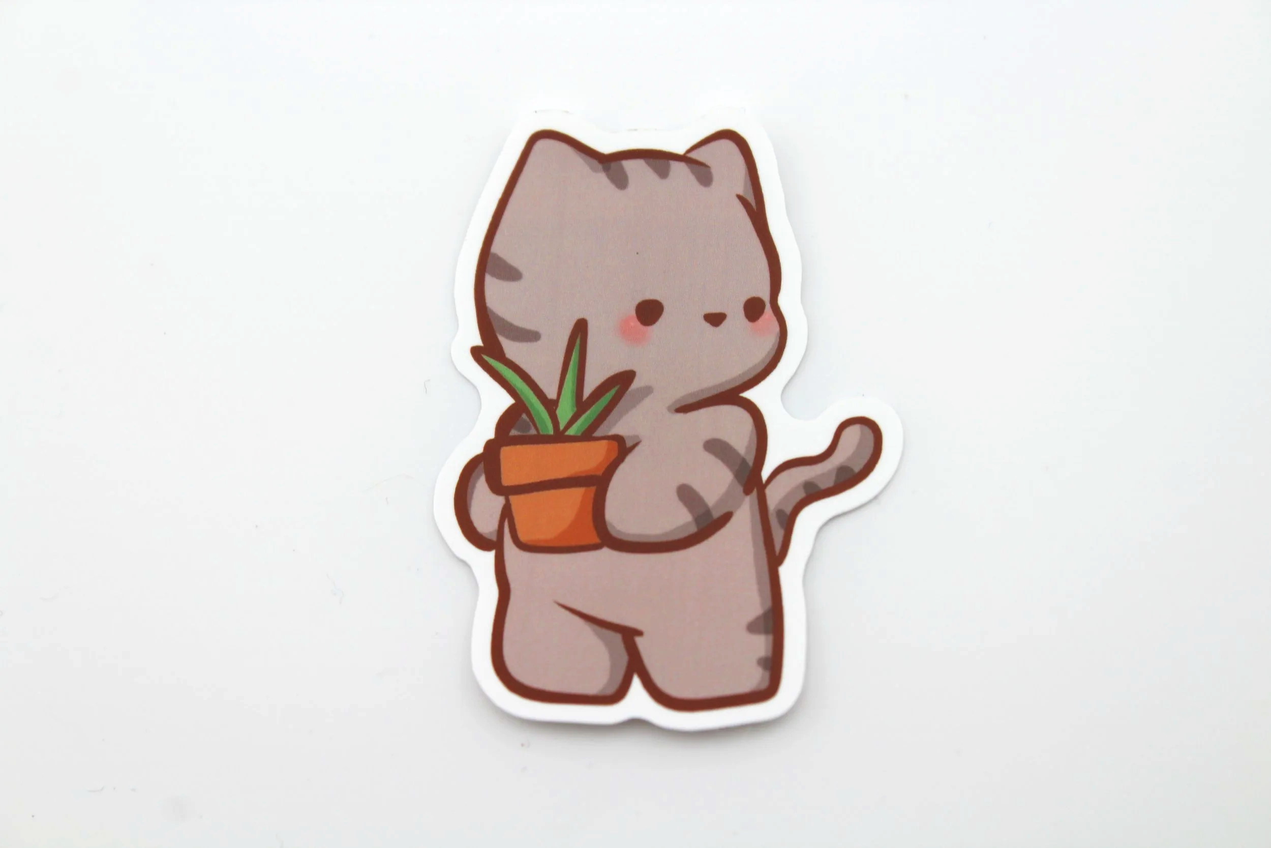 IMG_2472.png