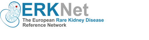 csm_Logo_ERKNet_53158b98d0.png