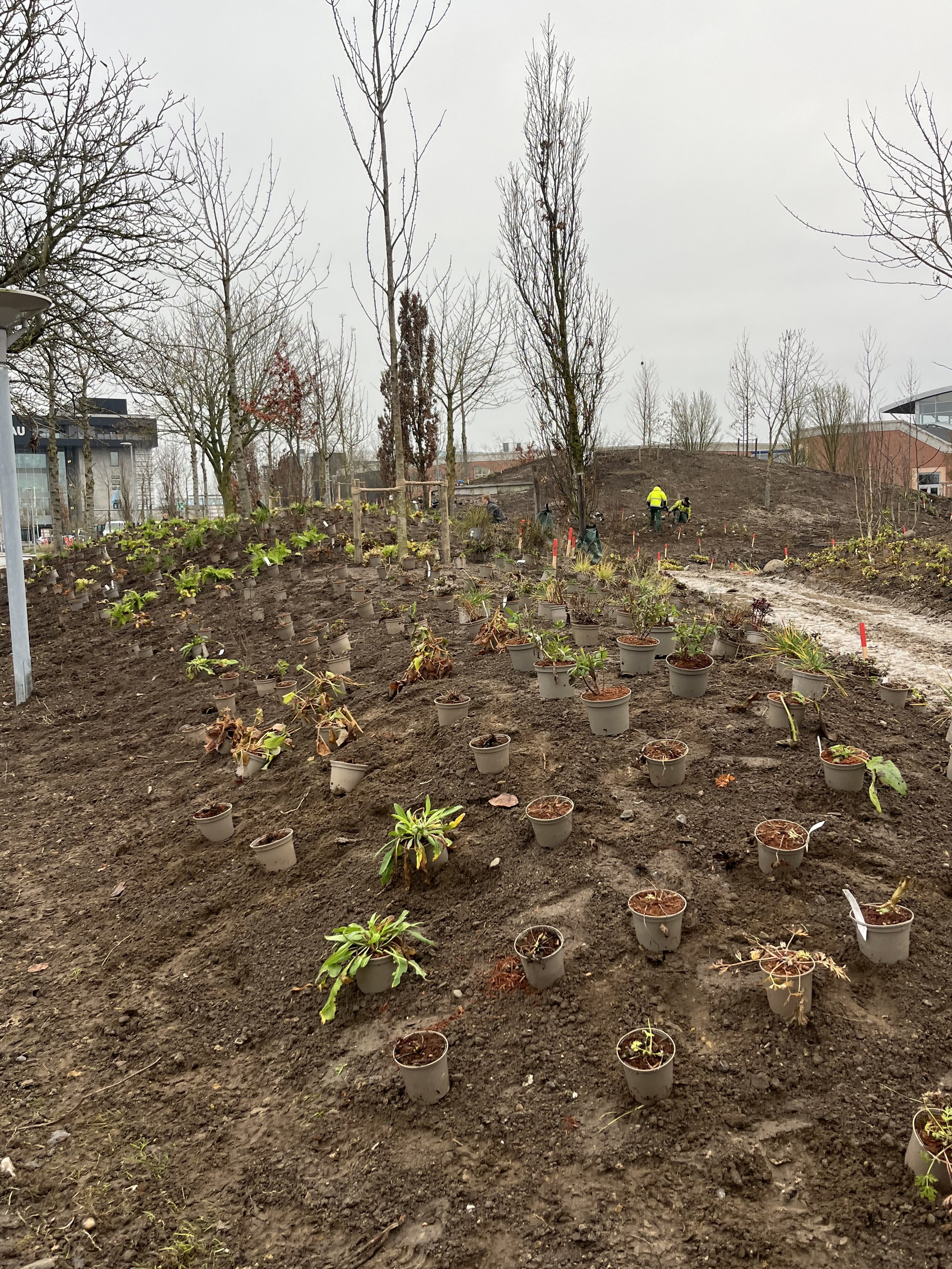 December 2025 - Planting Plants 