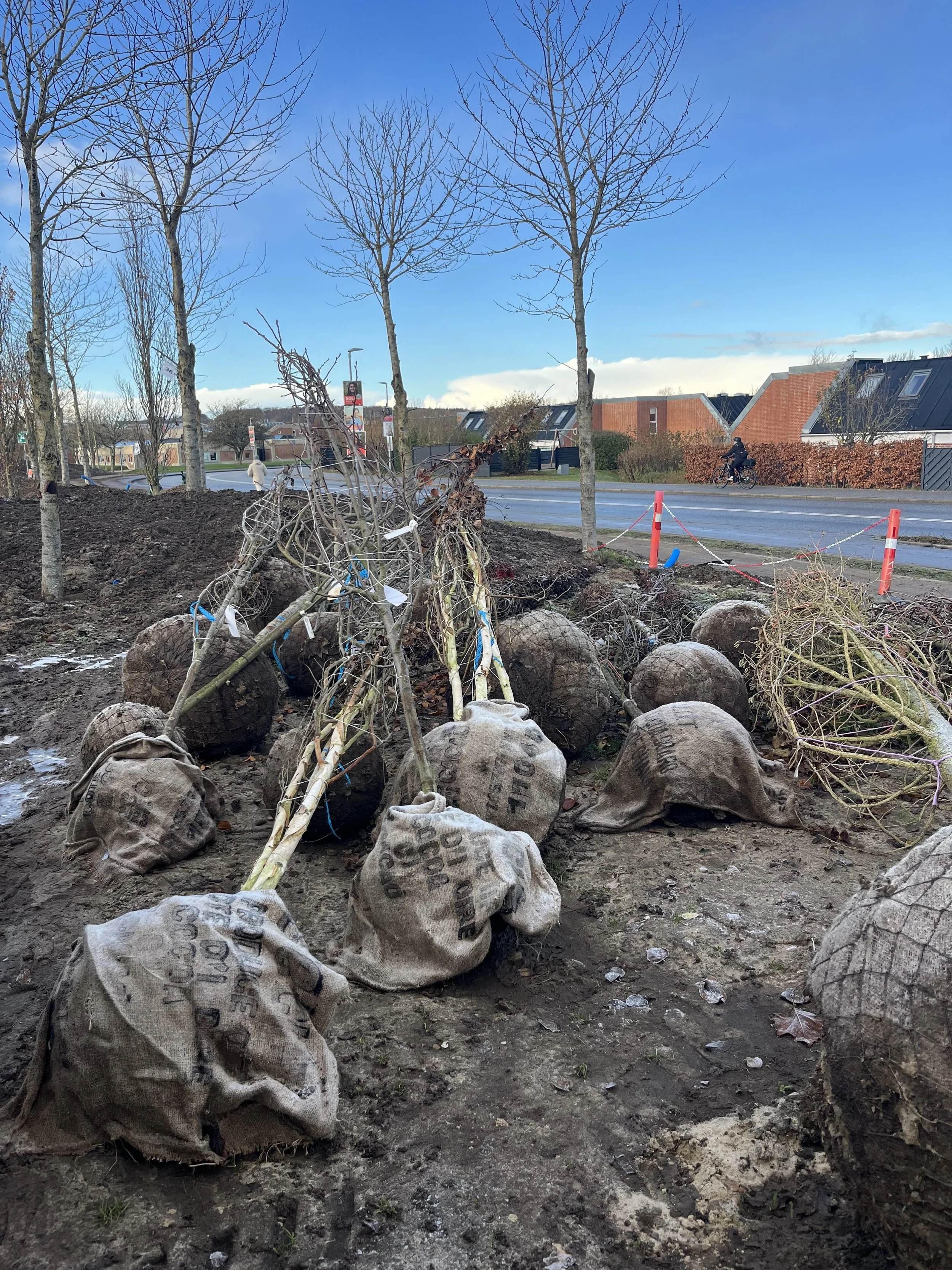 November 2025 - Winter Preparations