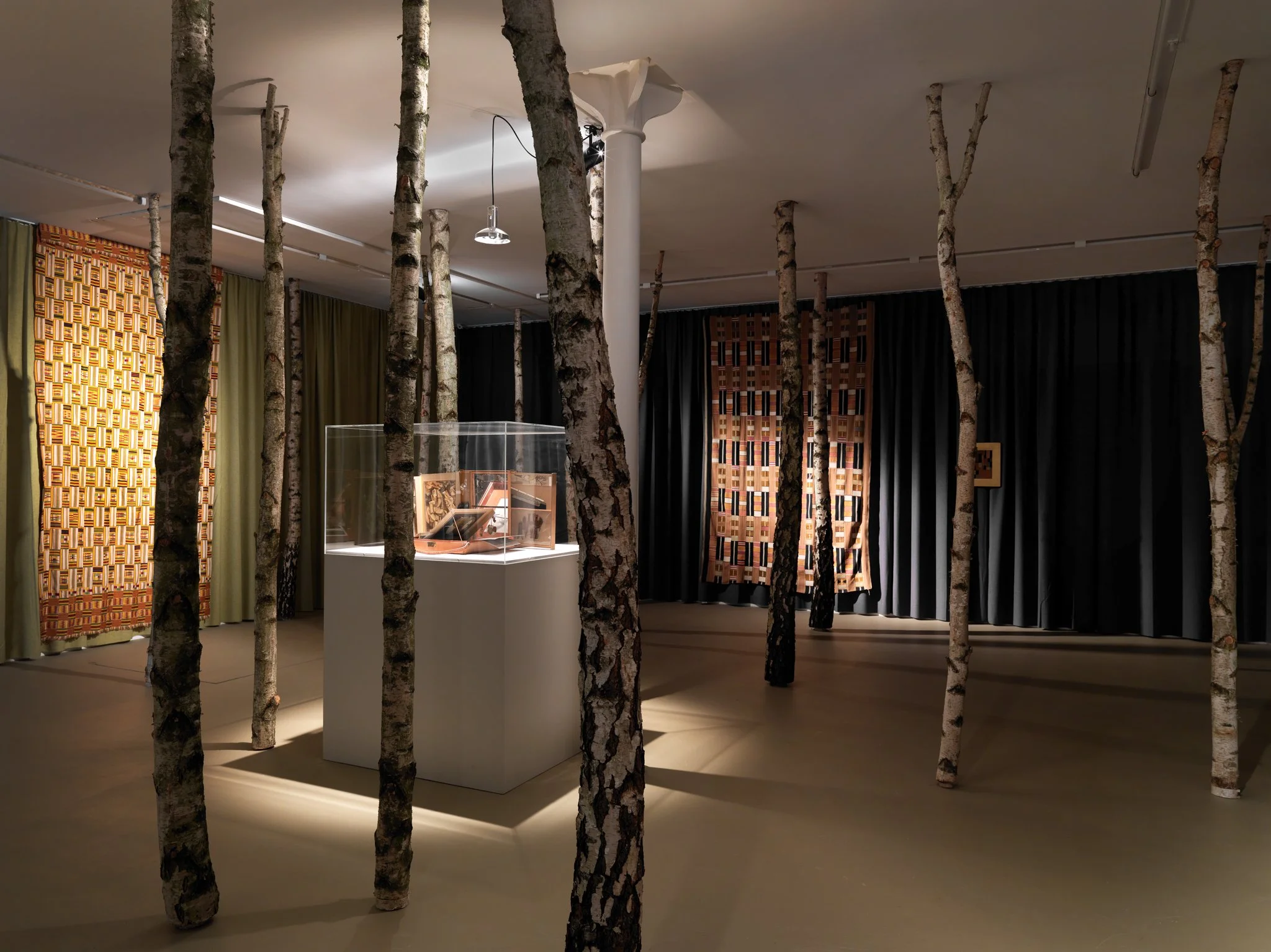 Dried_Dew_Drops-Kirstine_Roepstorff-Museum_fur_Gegenwatskunst_Kunstmuseum_Basel-2010-3.jpg