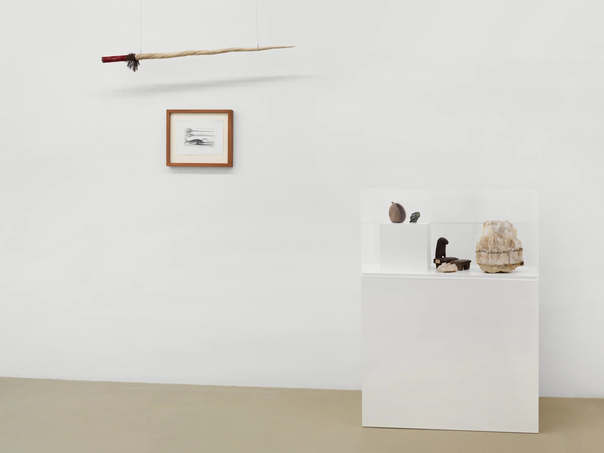Dried_Dew_Drops-Kirstine_Roepstorff-Museum_fur_Gegenwatskunst_Kunstmuseum_Basel-2010-4.jpg