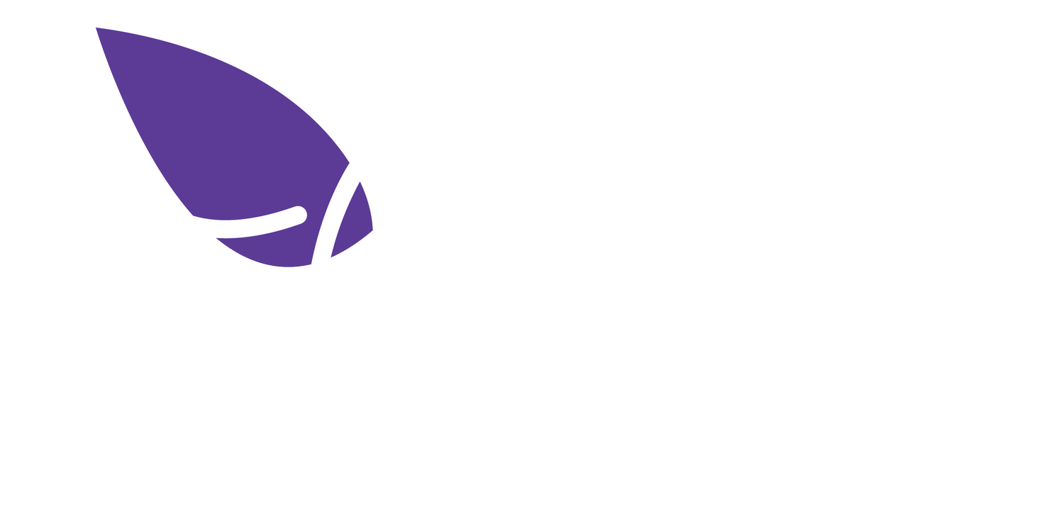Migration Support Hub