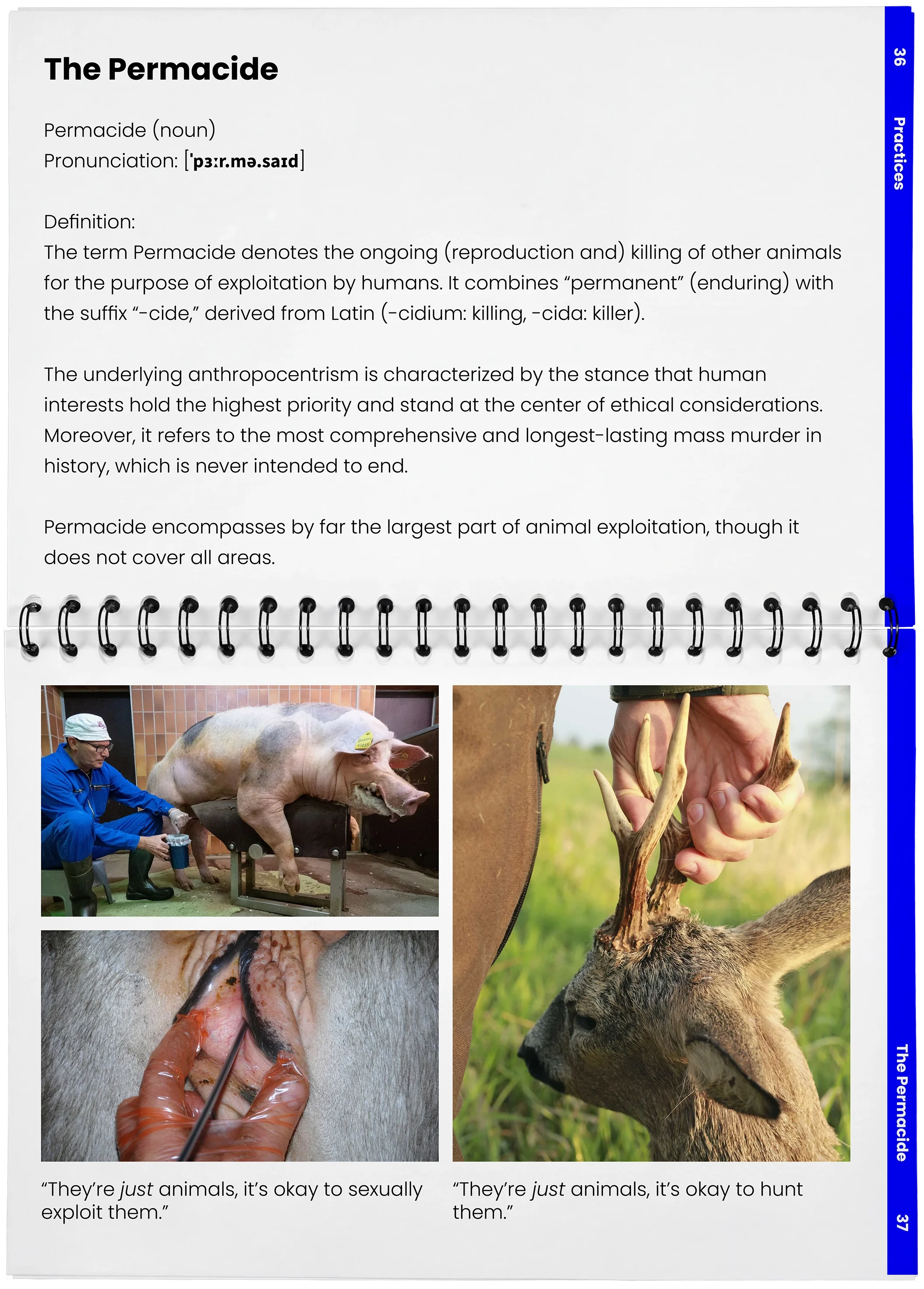 2026_04_29_DieMappe_Aufgeschlagen_Mockup_EN_18.webp