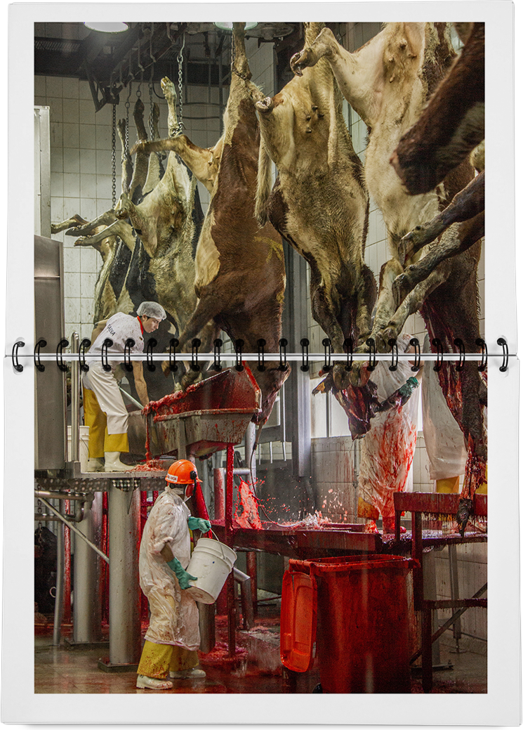 DieMappe_Mockup Kopie_EN Kopie_31.png