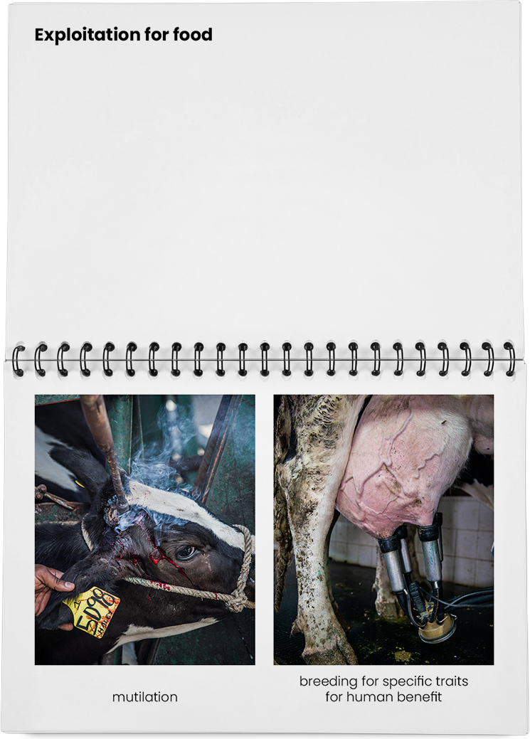 DieMappe_Mockup Kopie_EN Kopie_19.png