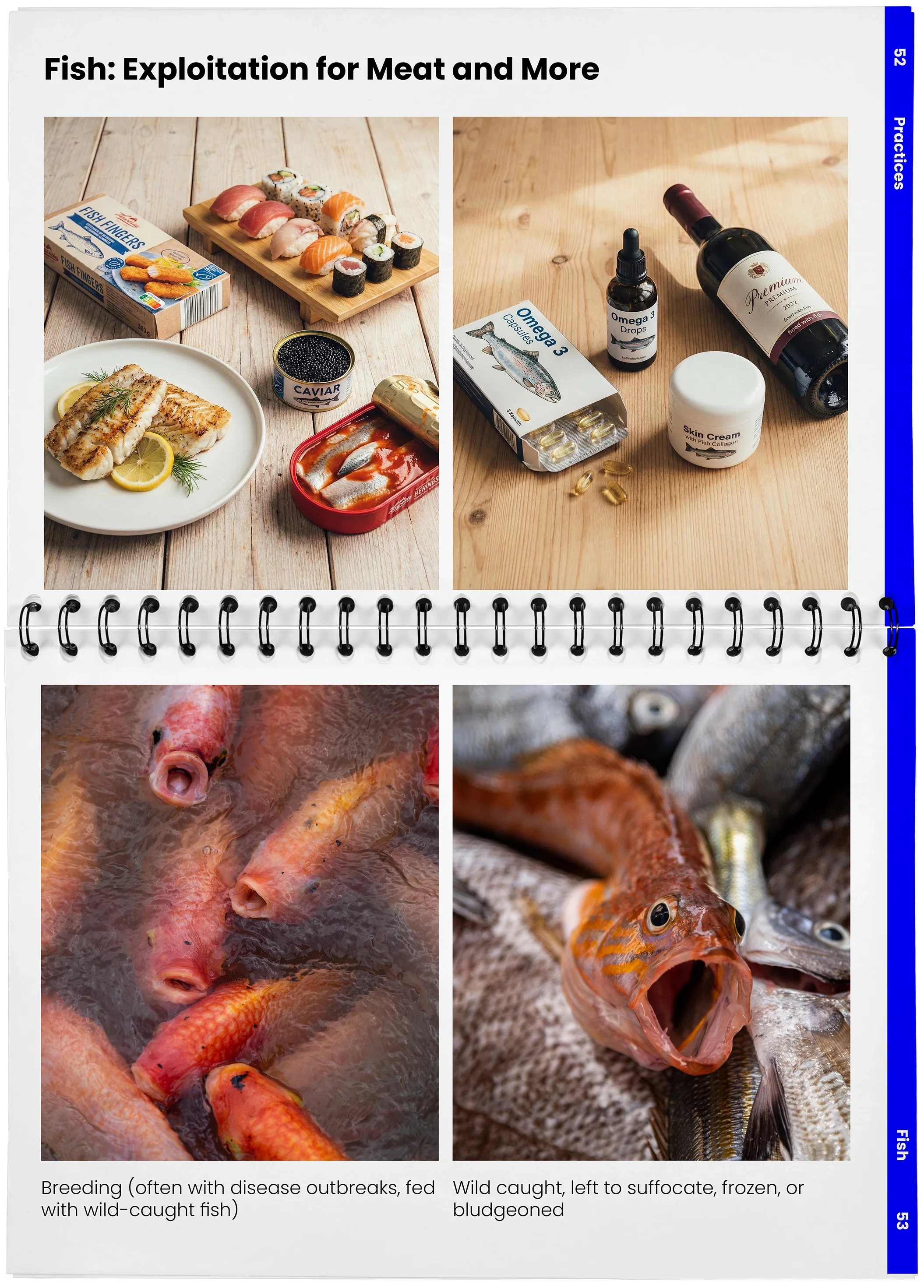 2026_04_29_DieMappe_Aufgeschlagen_Mockup_EN_26.webp