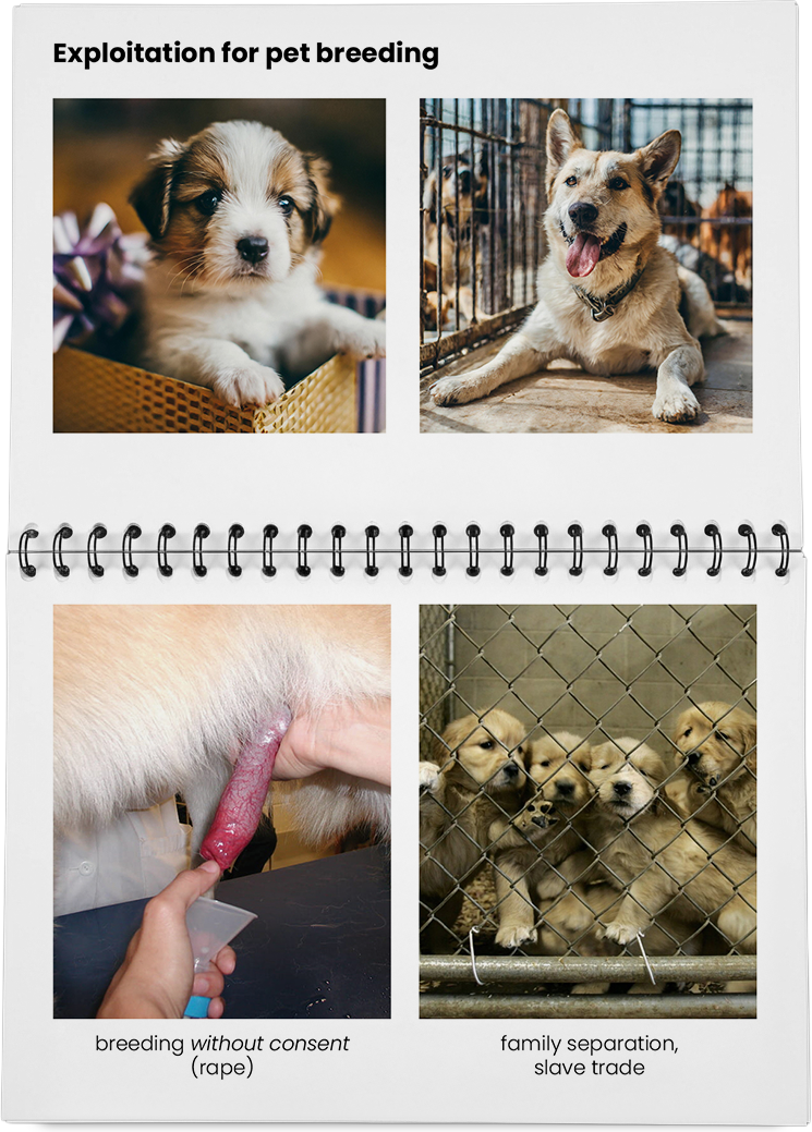 DieMappe_Mockup Kopie_EN Kopie_37.png