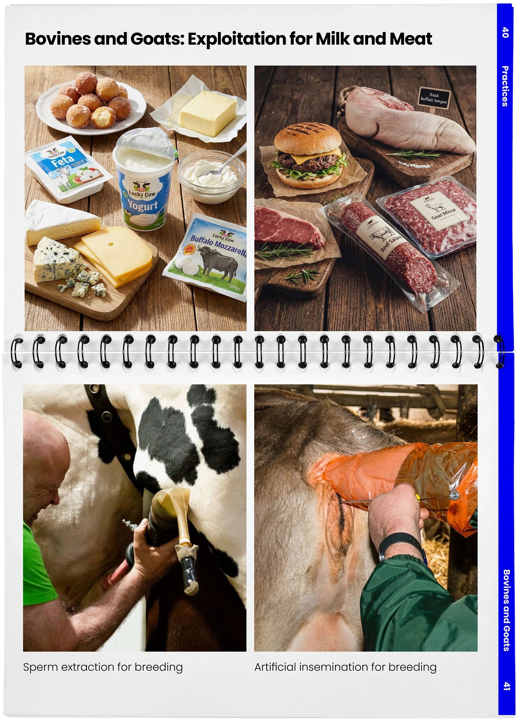 2026_04_29_DieMappe_Aufgeschlagen_Mockup_EN_20.webp