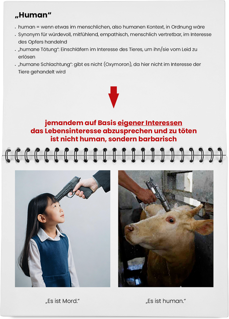 DieMappe_Mockup_12 Kopie.png