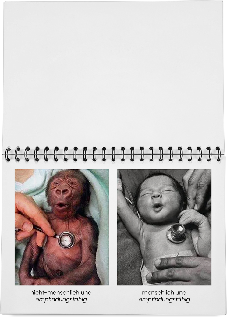 DieMappe_Mockup_4 Kopie.png