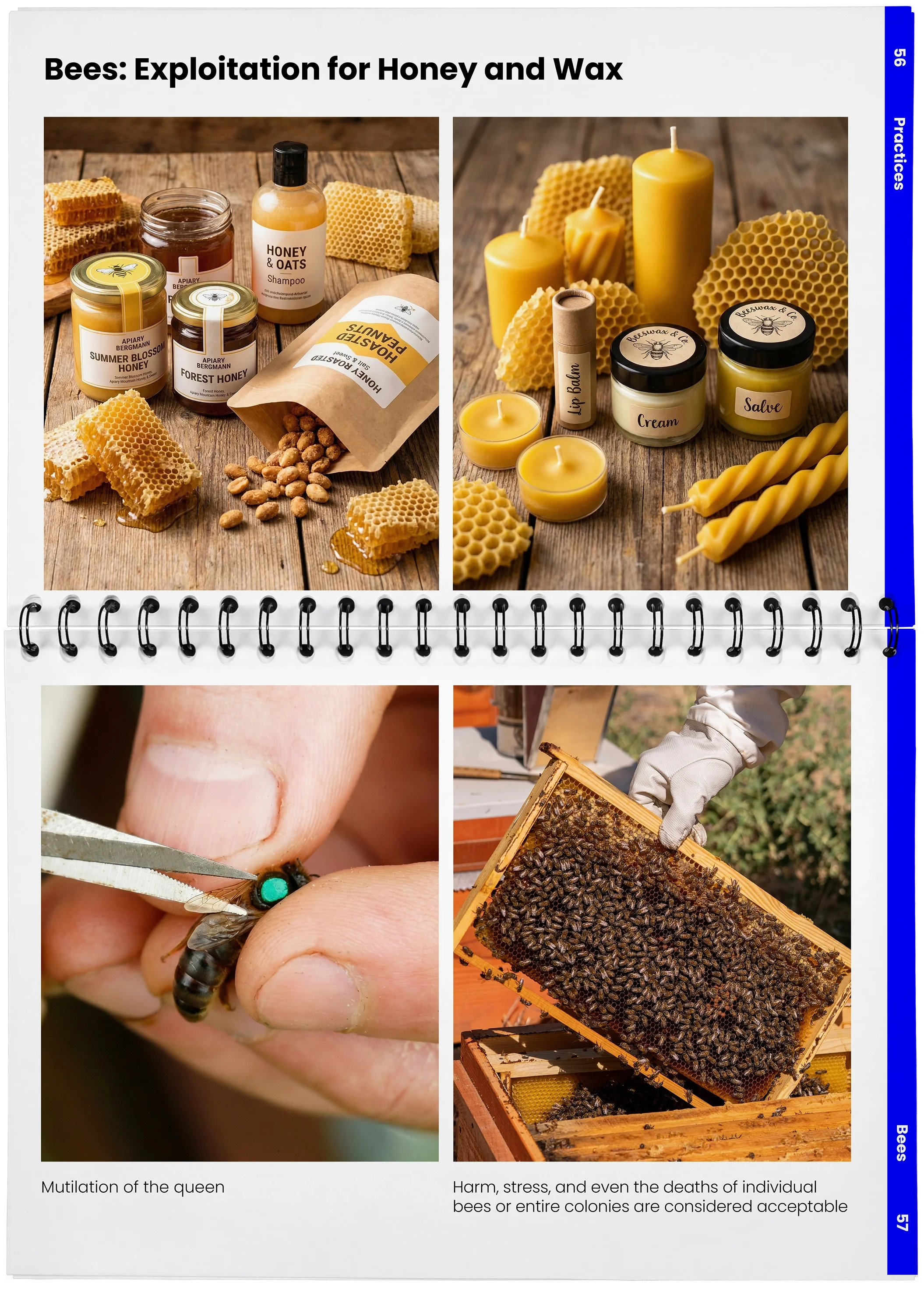 2026_04_29_DieMappe_Aufgeschlagen_Mockup_EN_28.webp