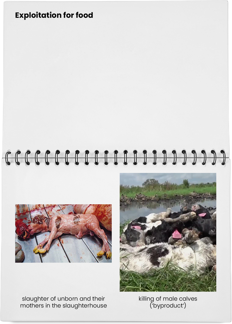 DieMappe_Mockup Kopie_EN Kopie_21.png