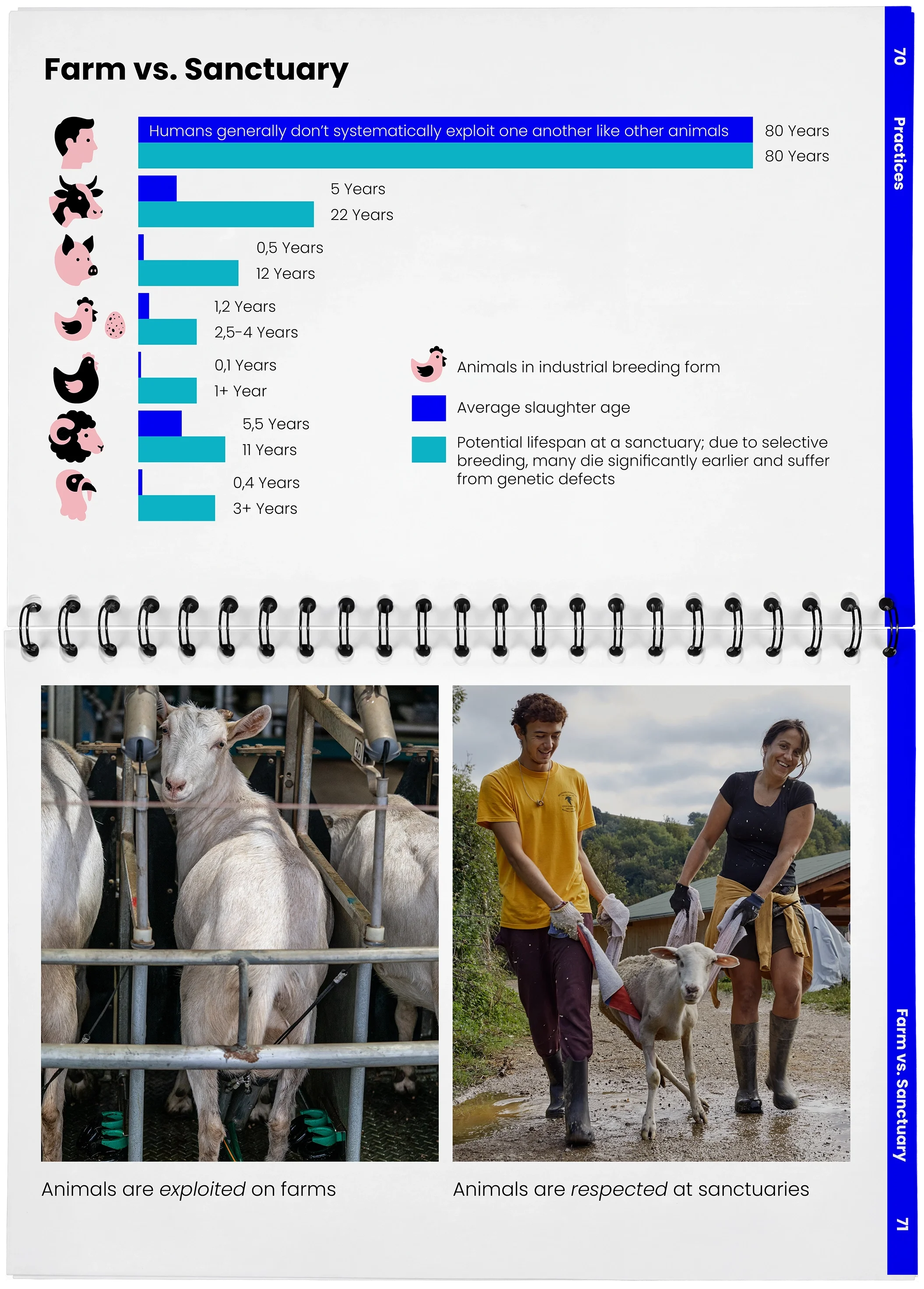 2026_04_29_DieMappe_Aufgeschlagen_Mockup_EN_35.webp
