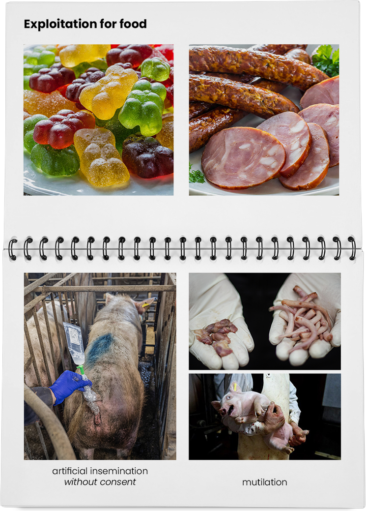 DieMappe_Mockup Kopie_EN Kopie_24.png