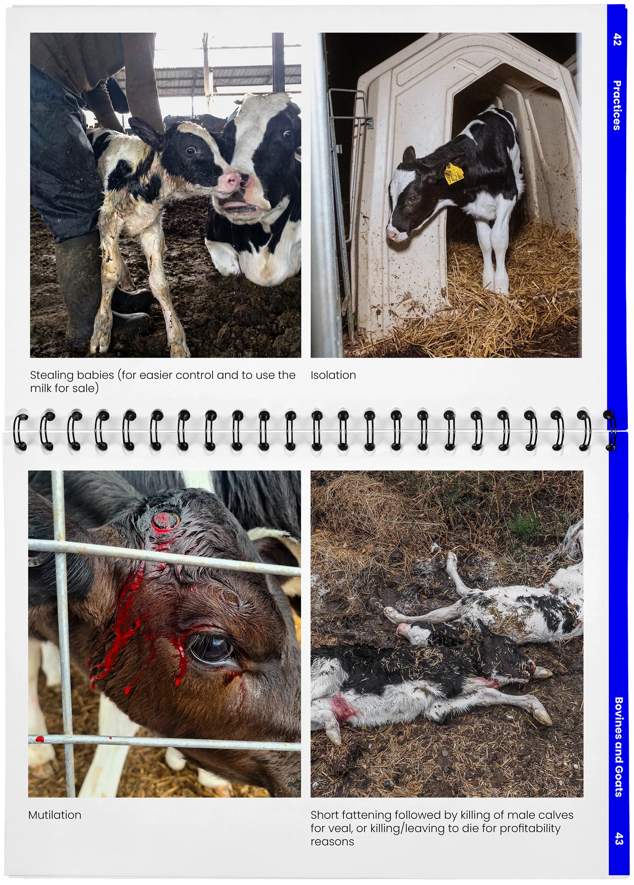 2026_04_29_DieMappe_Aufgeschlagen_Mockup_EN_21.webp