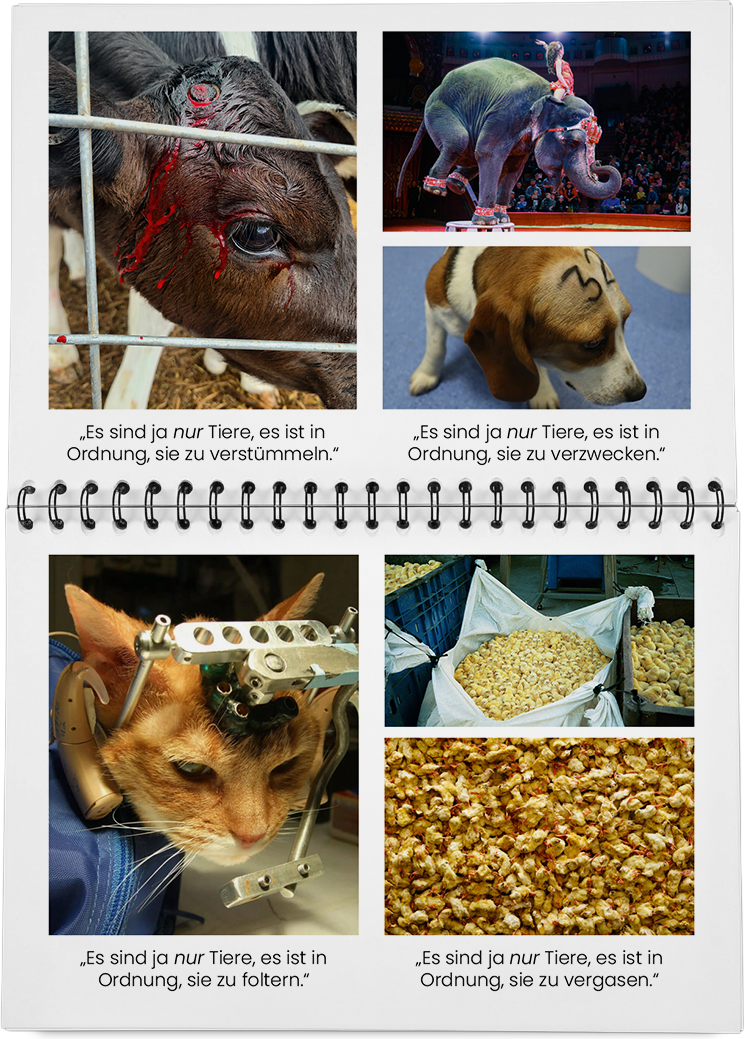 DieMappe_Mockup_15 Kopie.png