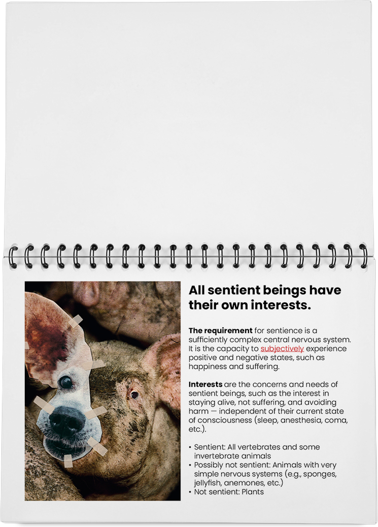 DieMappe_Mockup Kopie_EN Kopie_4.png