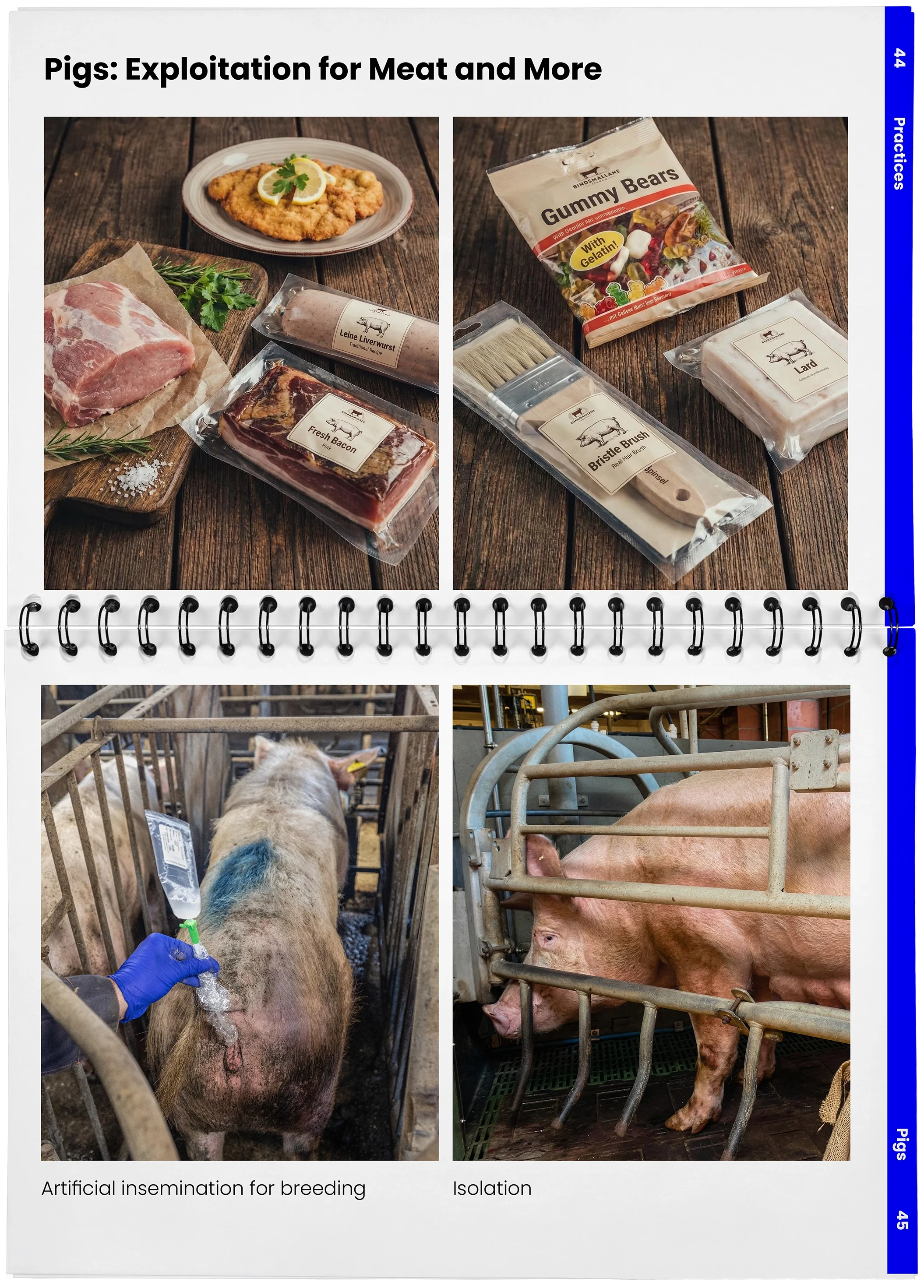 2026_04_29_DieMappe_Aufgeschlagen_Mockup_EN_22.webp