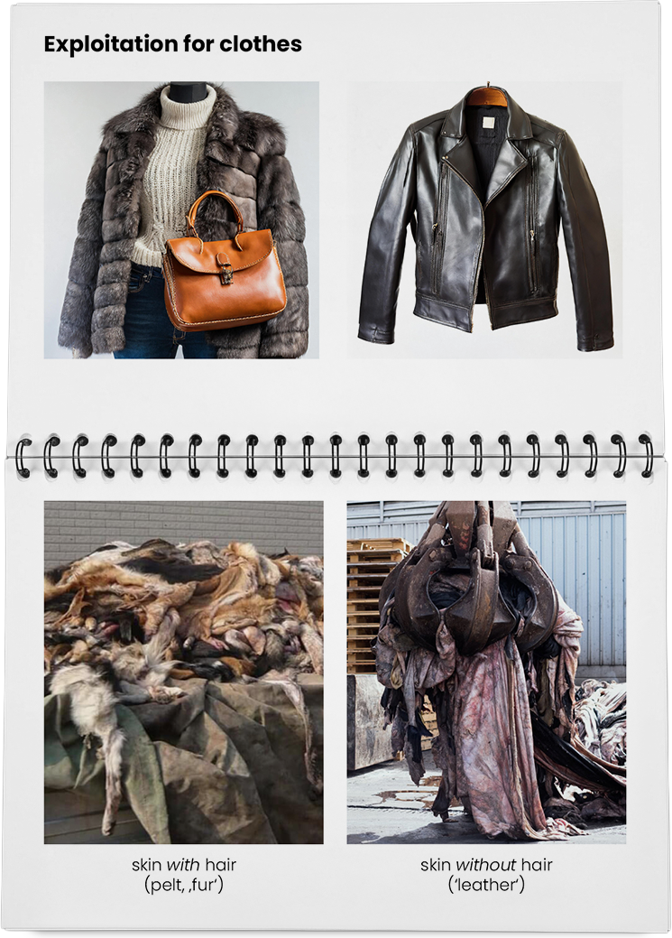 DieMappe_Mockup Kopie_EN Kopie_28.png