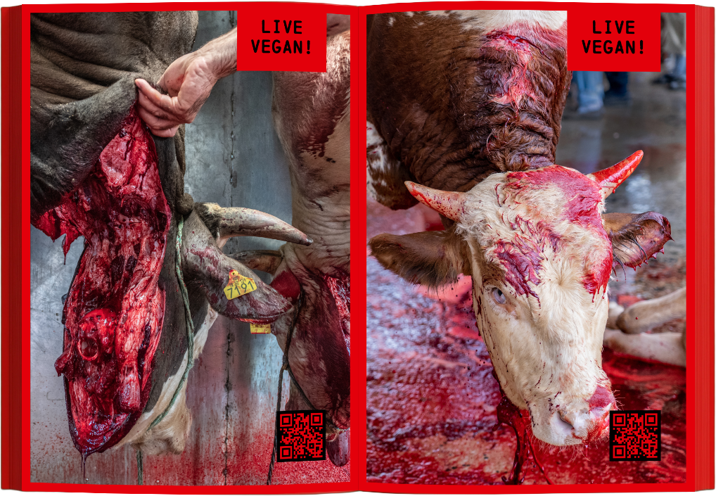 Goreheft_Mockup_1 Kopie_4.png