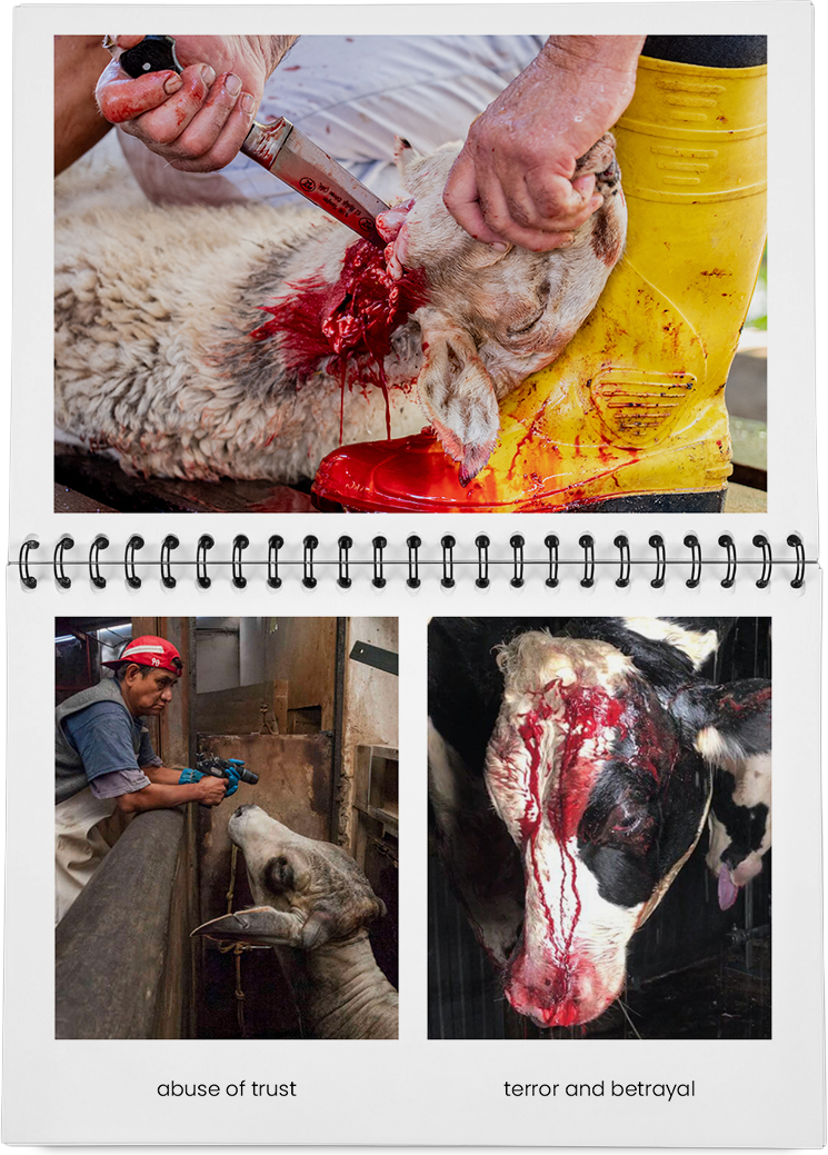 DieMappe_Mockup Kopie_EN Kopie_32.png