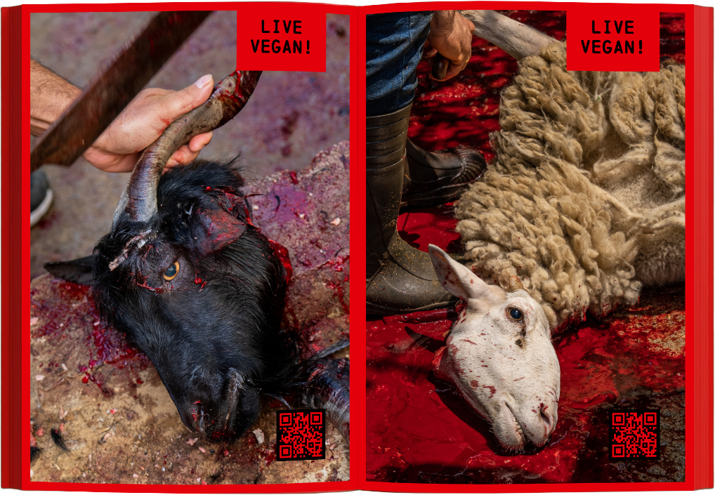 Goreheft_Mockup_1 Kopie_11.png