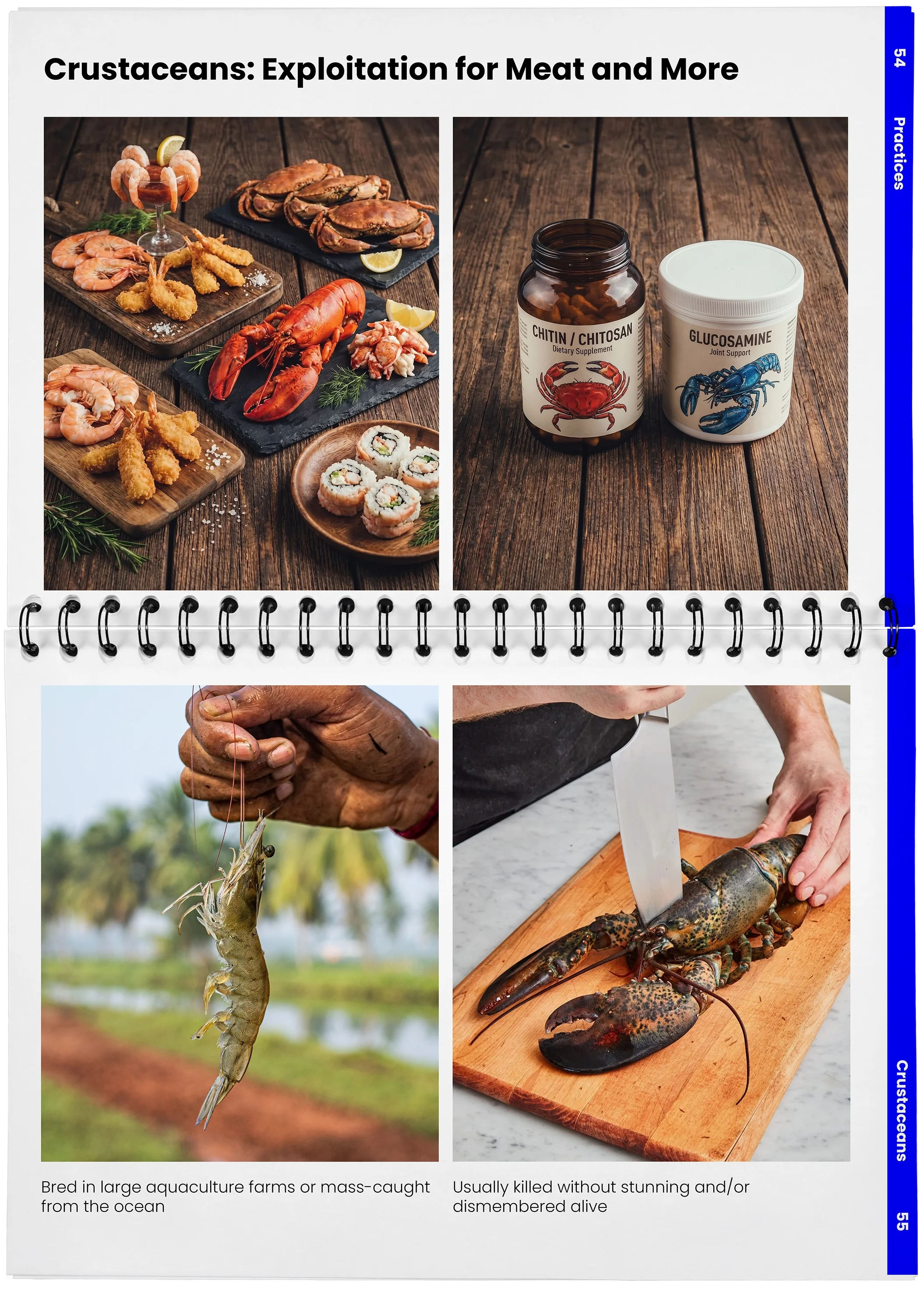 2026_04_29_DieMappe_Aufgeschlagen_Mockup_EN_27.webp