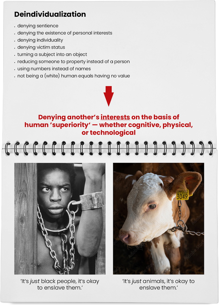 DieMappe_Mockup Kopie_EN Kopie_11.png