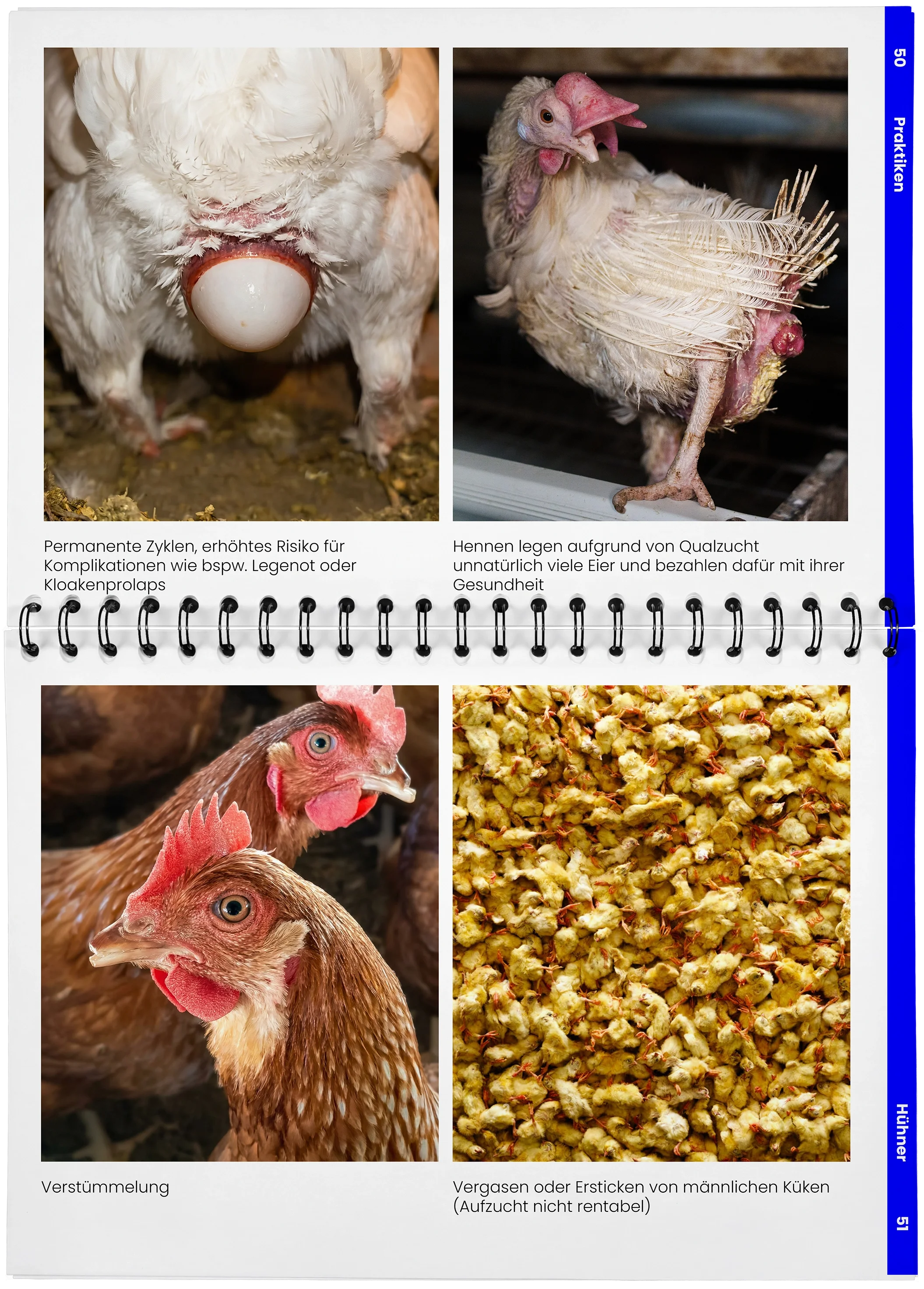 2026_04_29_DieMappe_Aufgeschlagen_Mockup25 Kopie.webp