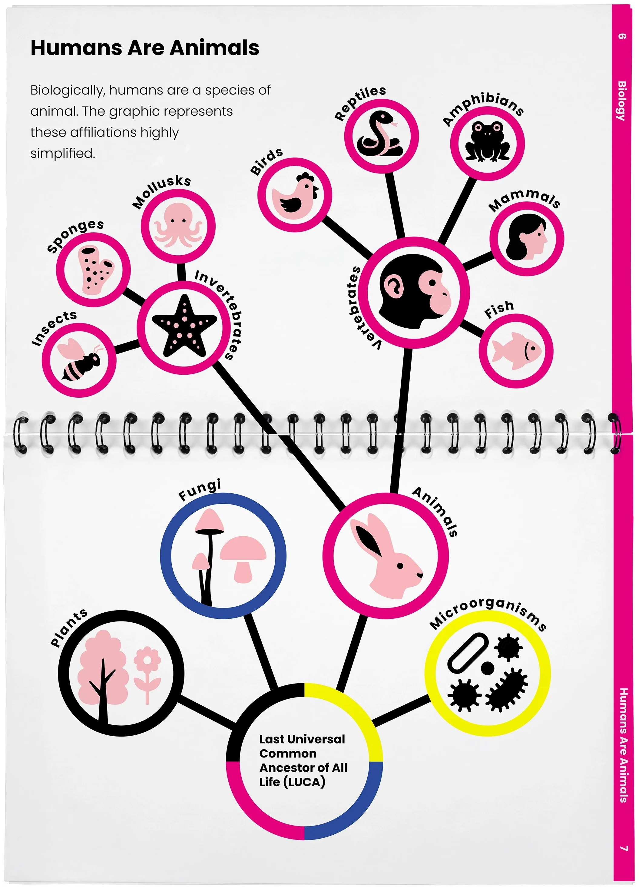 2026_04_29_DieMappe_Aufgeschlagen_Mockup_EN_3.webp