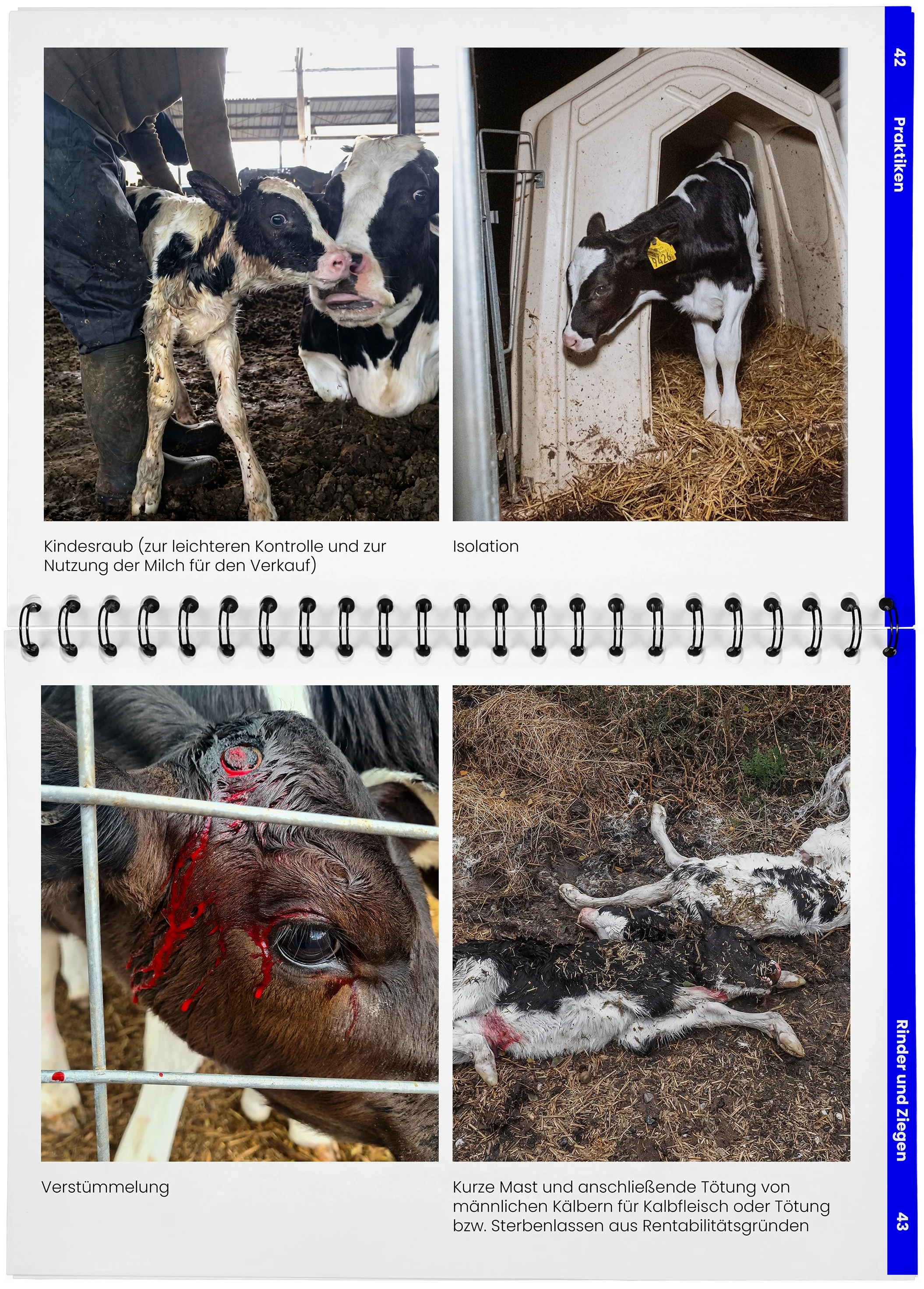 2026_04_29_DieMappe_Aufgeschlagen_Mockup21 Kopie.webp