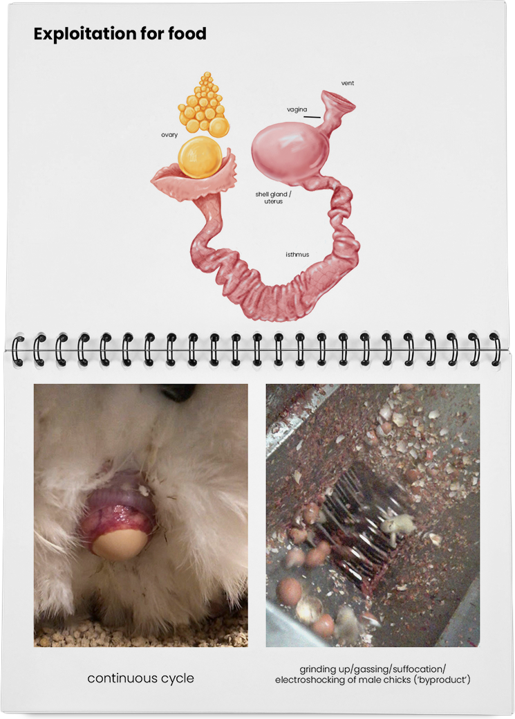 DieMappe_Mockup Kopie_EN Kopie_23.png