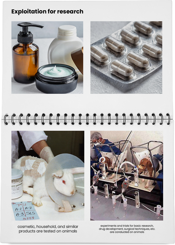 DieMappe_Mockup Kopie_EN Kopie_35.png