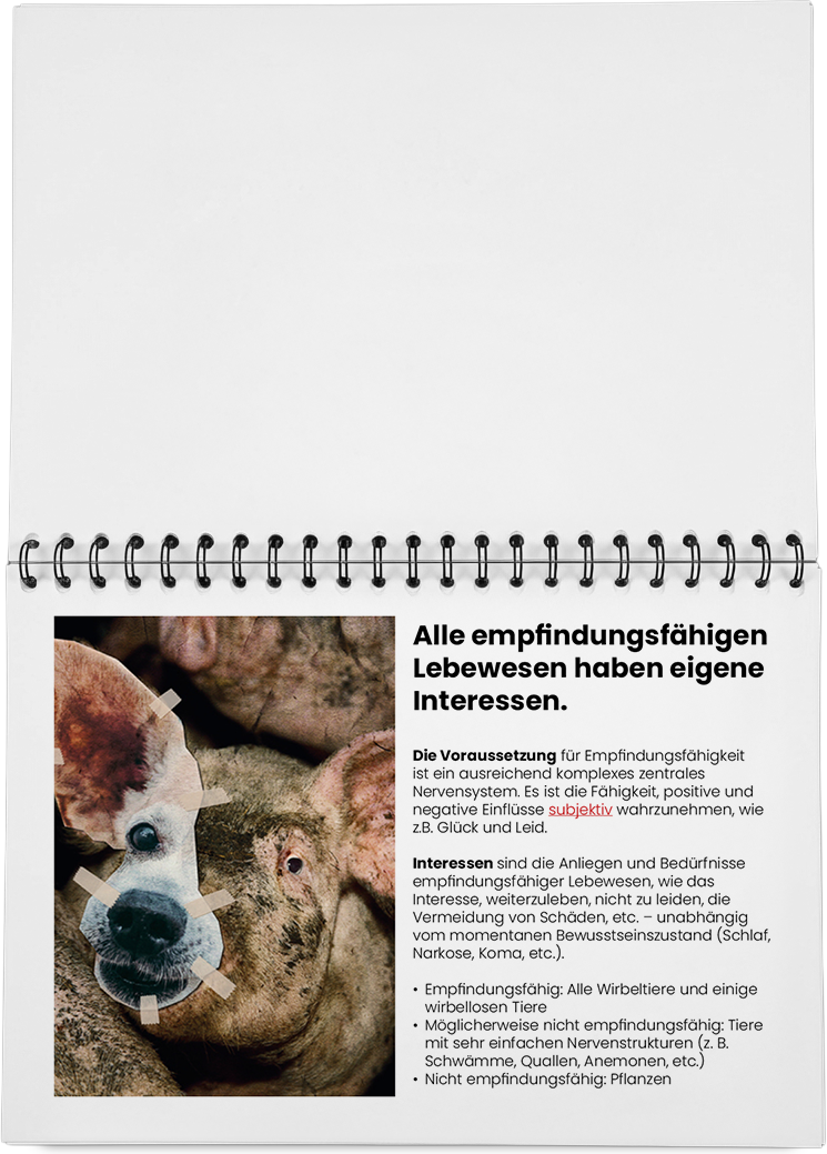 DieMappe_Mockup_3 Kopie.png