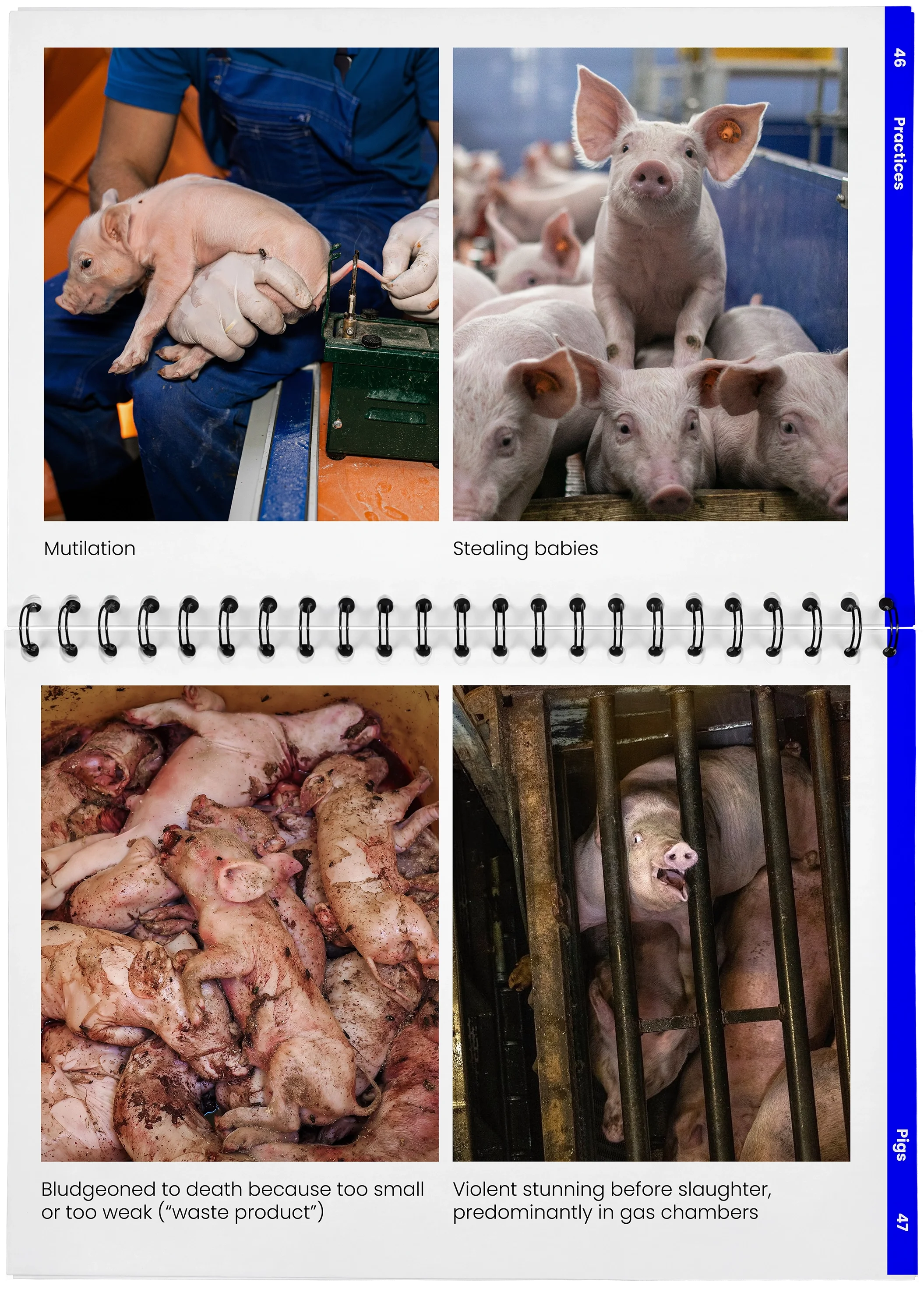 2026_04_29_DieMappe_Aufgeschlagen_Mockup_EN_23.webp
