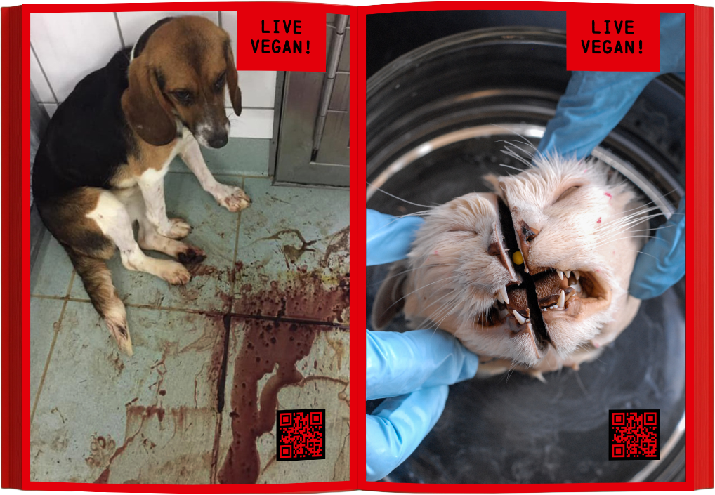 Goreheft_Mockup_1 Kopie_7.png