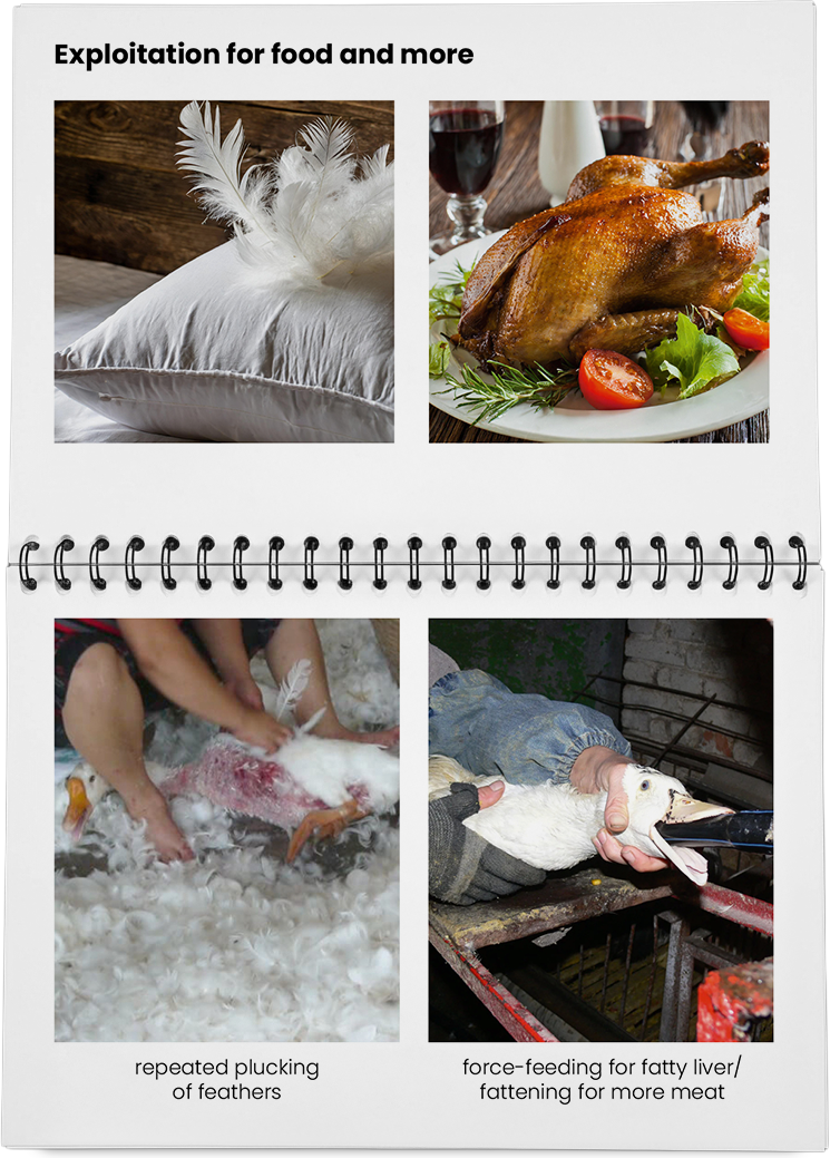 DieMappe_Mockup Kopie_EN Kopie_26.png