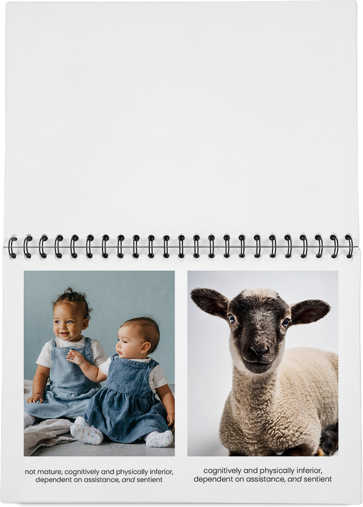 DieMappe_Mockup Kopie_EN Kopie_9.png