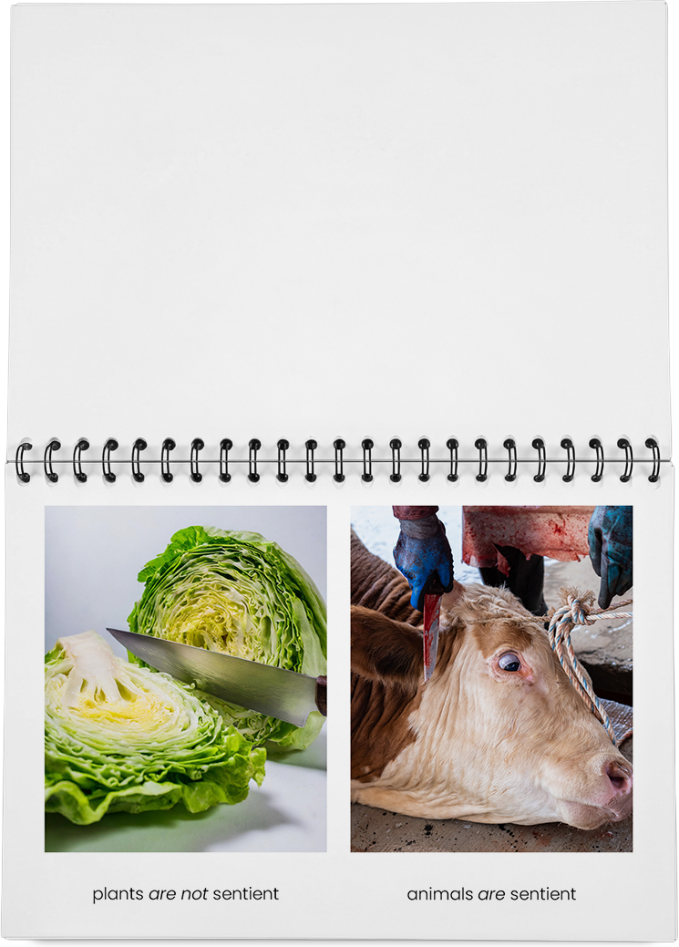 DieMappe_Mockup Kopie_EN Kopie_6.png