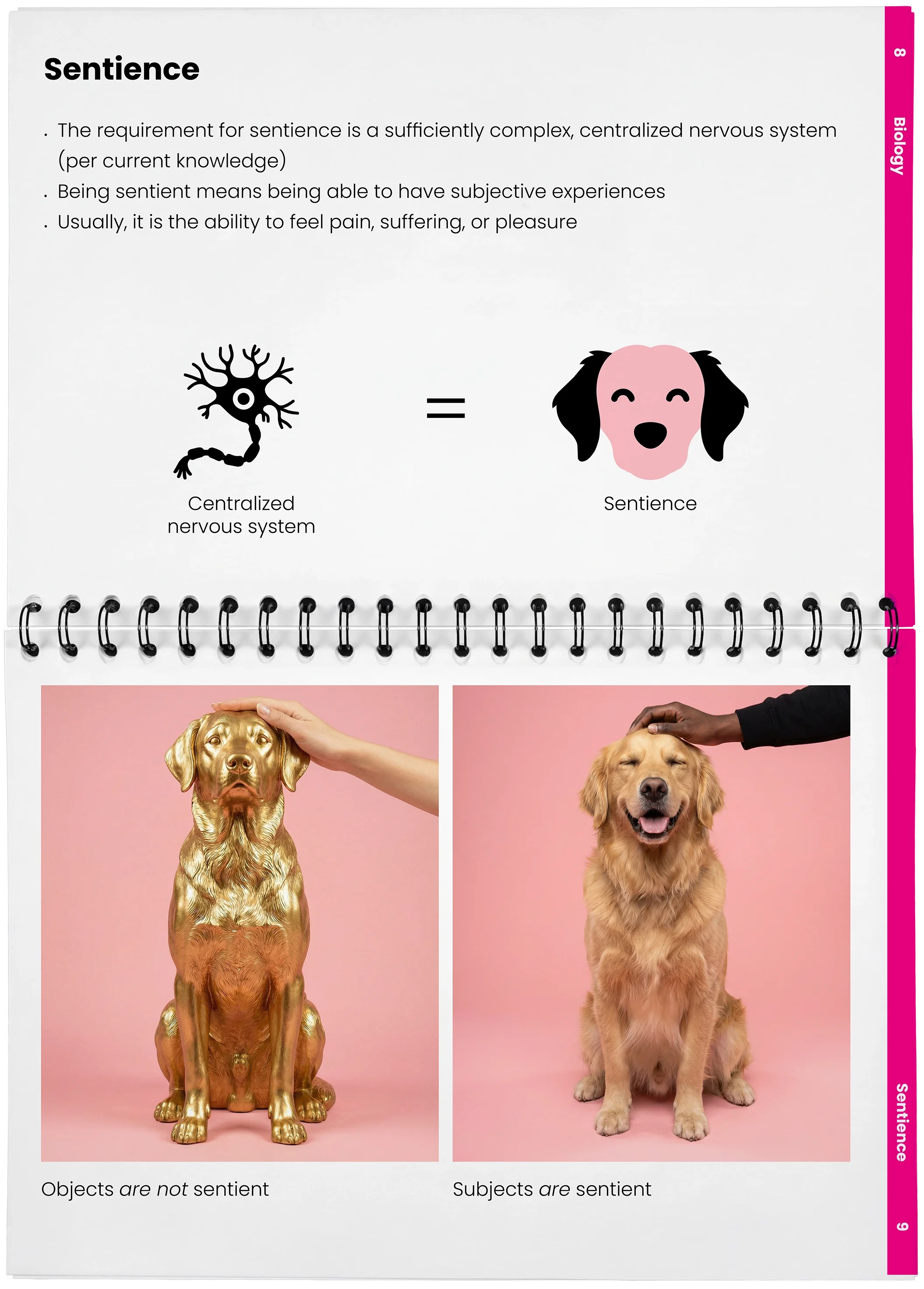 2026_04_29_DieMappe_Aufgeschlagen_Mockup_EN_4.webp