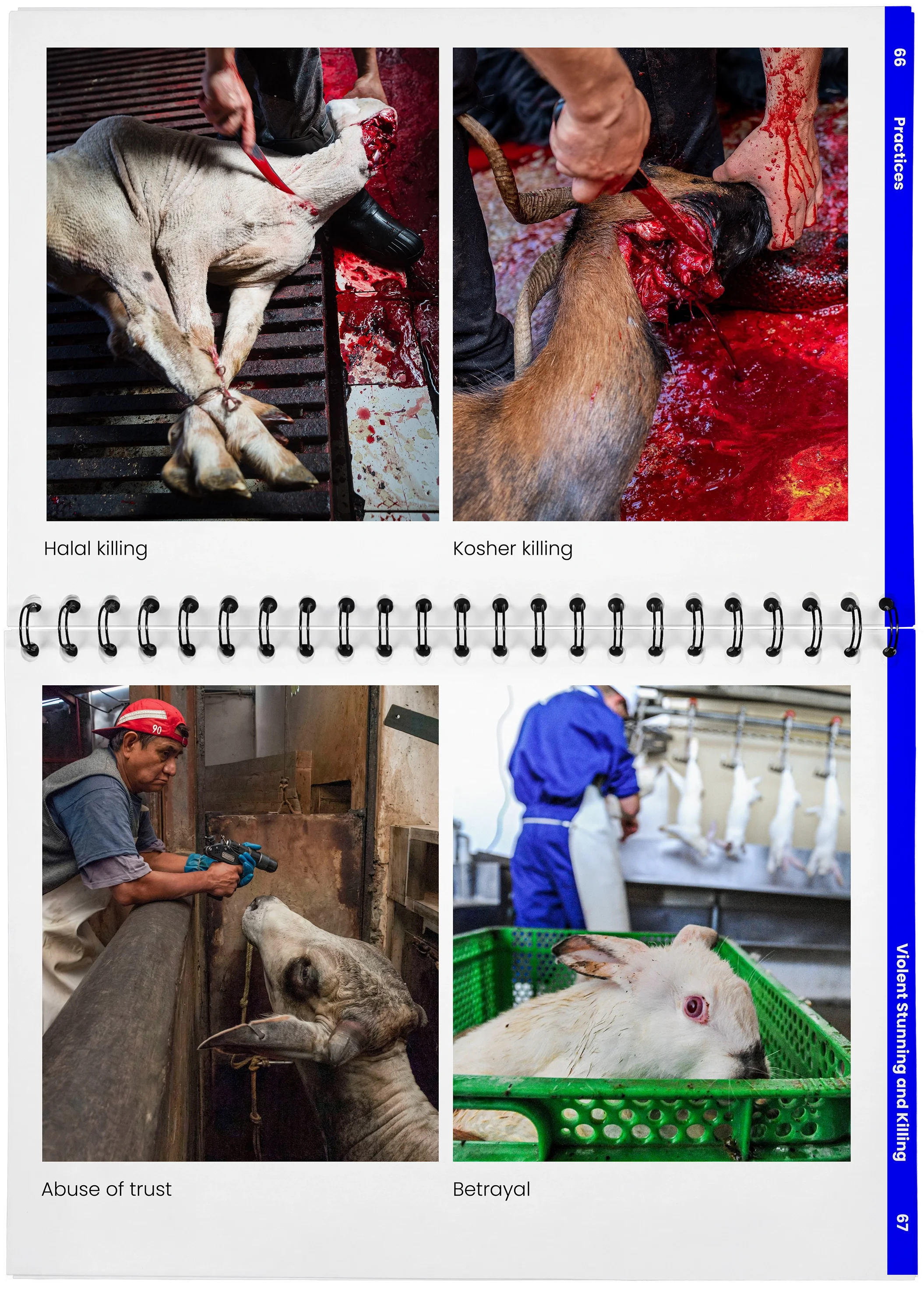 2026_04_29_DieMappe_Aufgeschlagen_Mockup_EN_33.webp