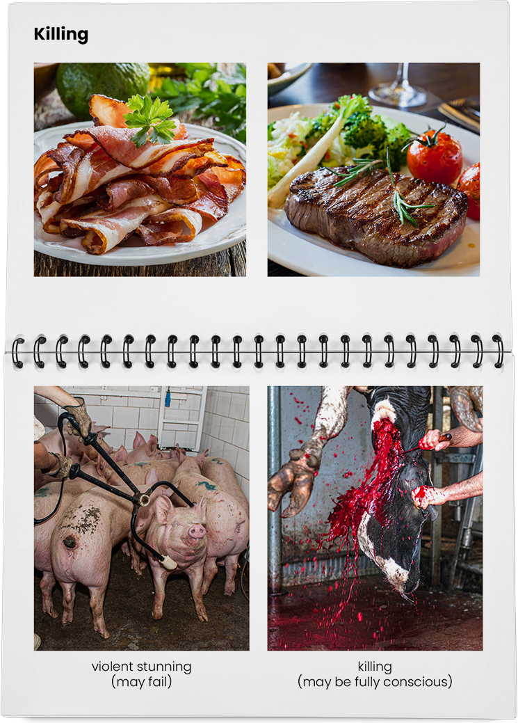 DieMappe_Mockup Kopie_EN Kopie_29.png